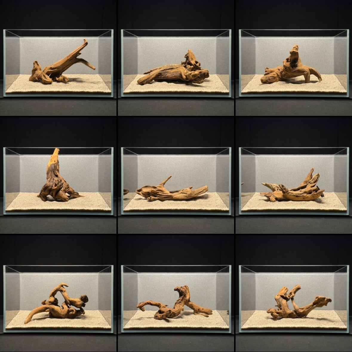 Malaysian Driftwood