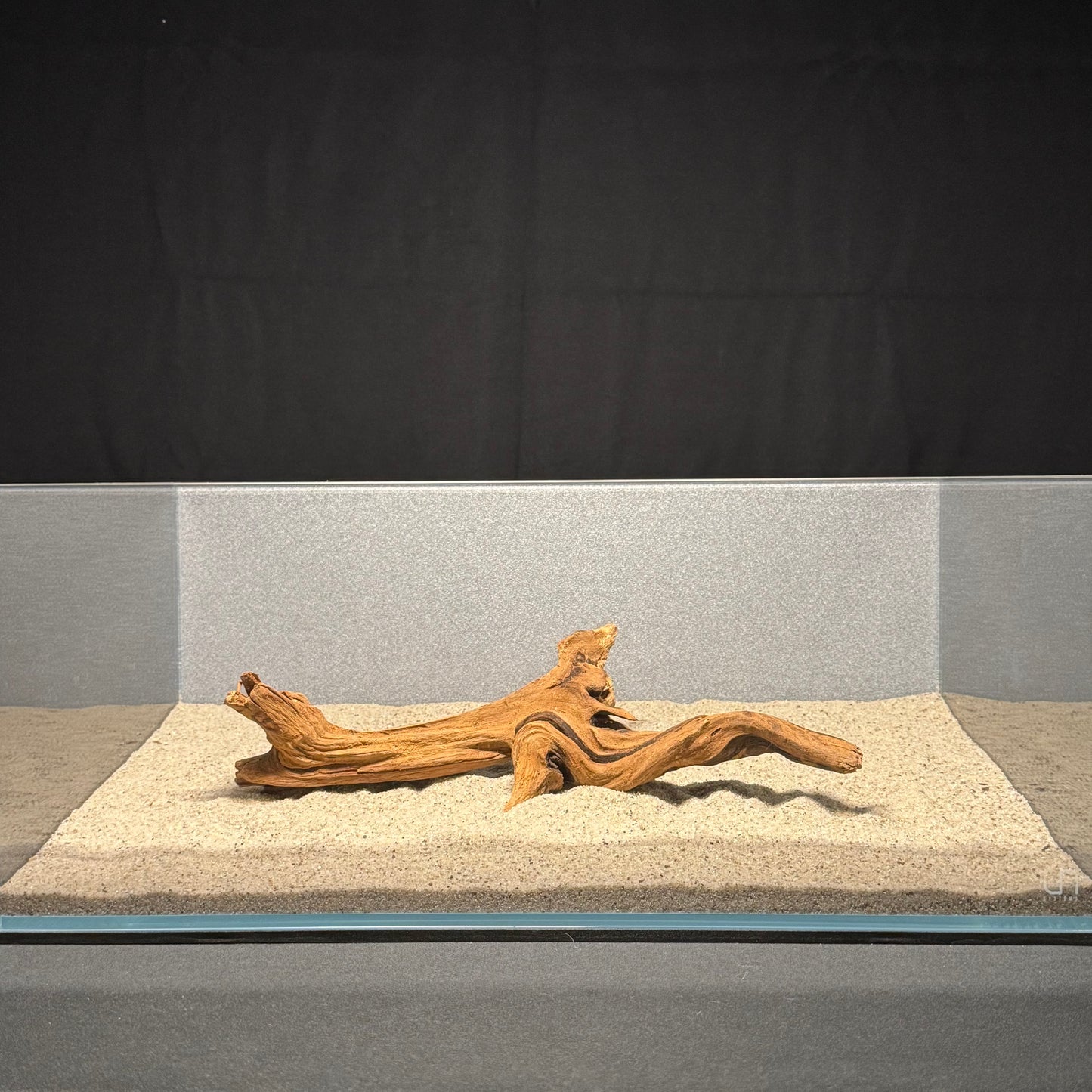 10”-12” Malaysian Driftwood