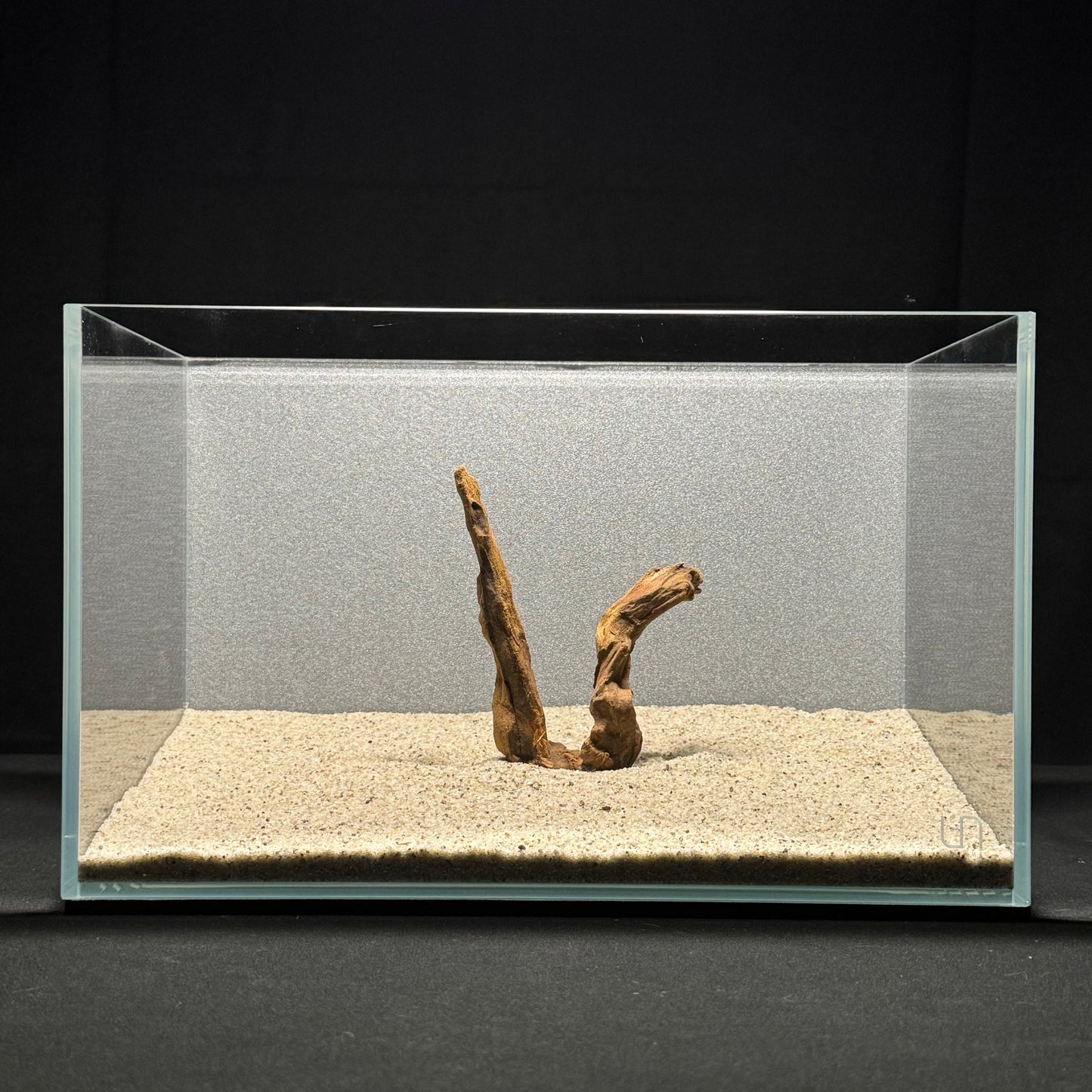 4”-6” Malaysian Driftwood
