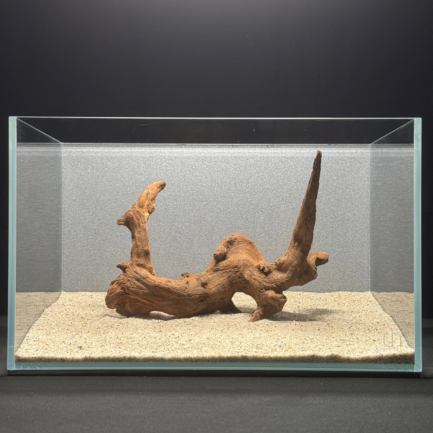 9”-11” Malaysian Driftwood