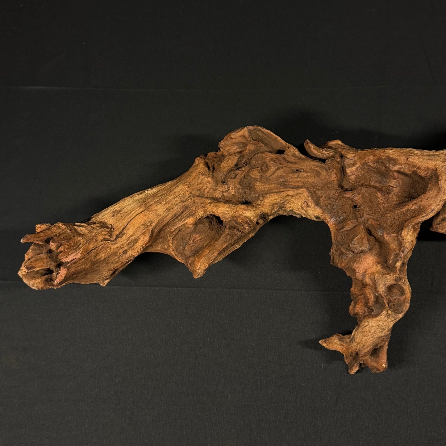 22” Malaysian Driftwood