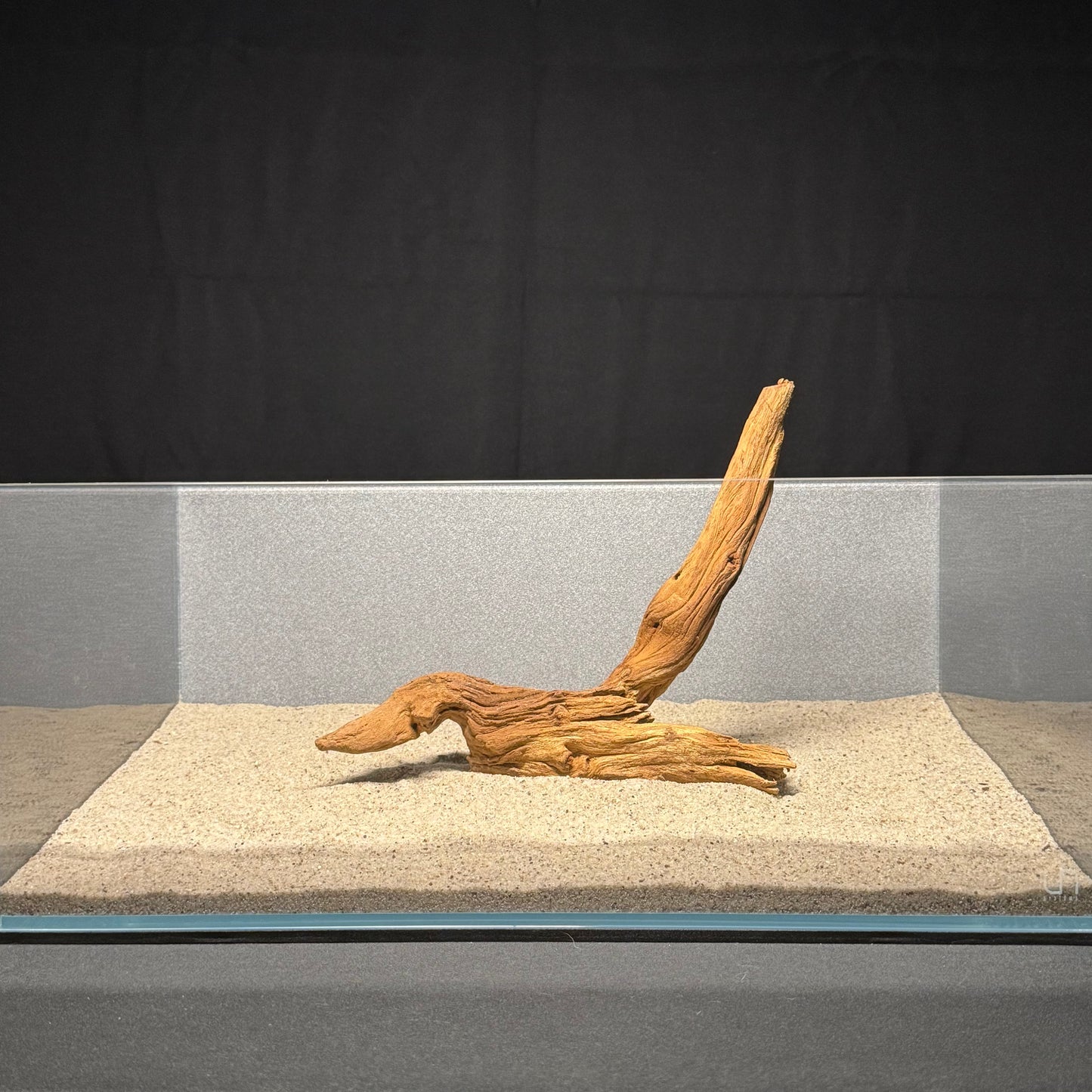 10”-12” Malaysian Driftwood