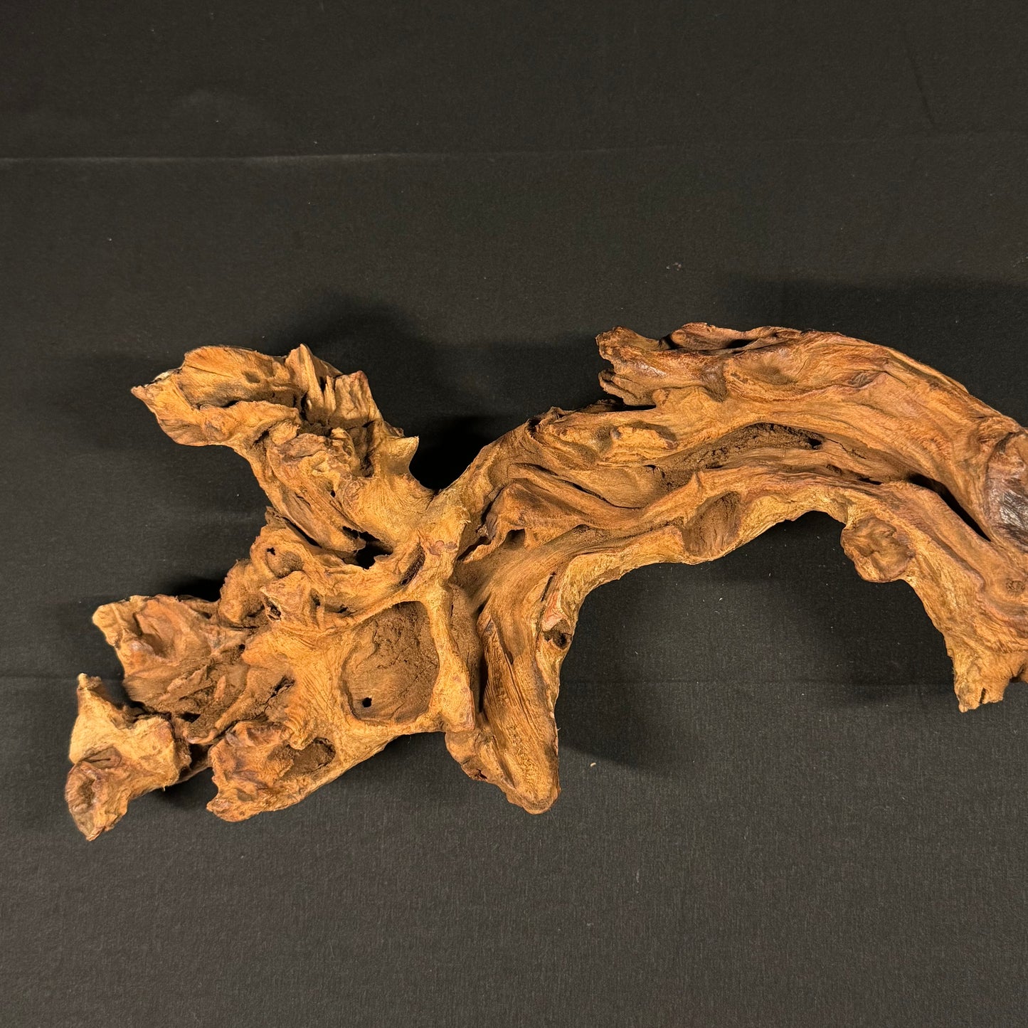 20” Malaysian Driftwood