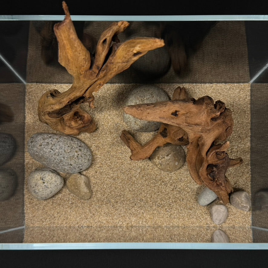 2 Gallon Complete Nano Hardscape Setup