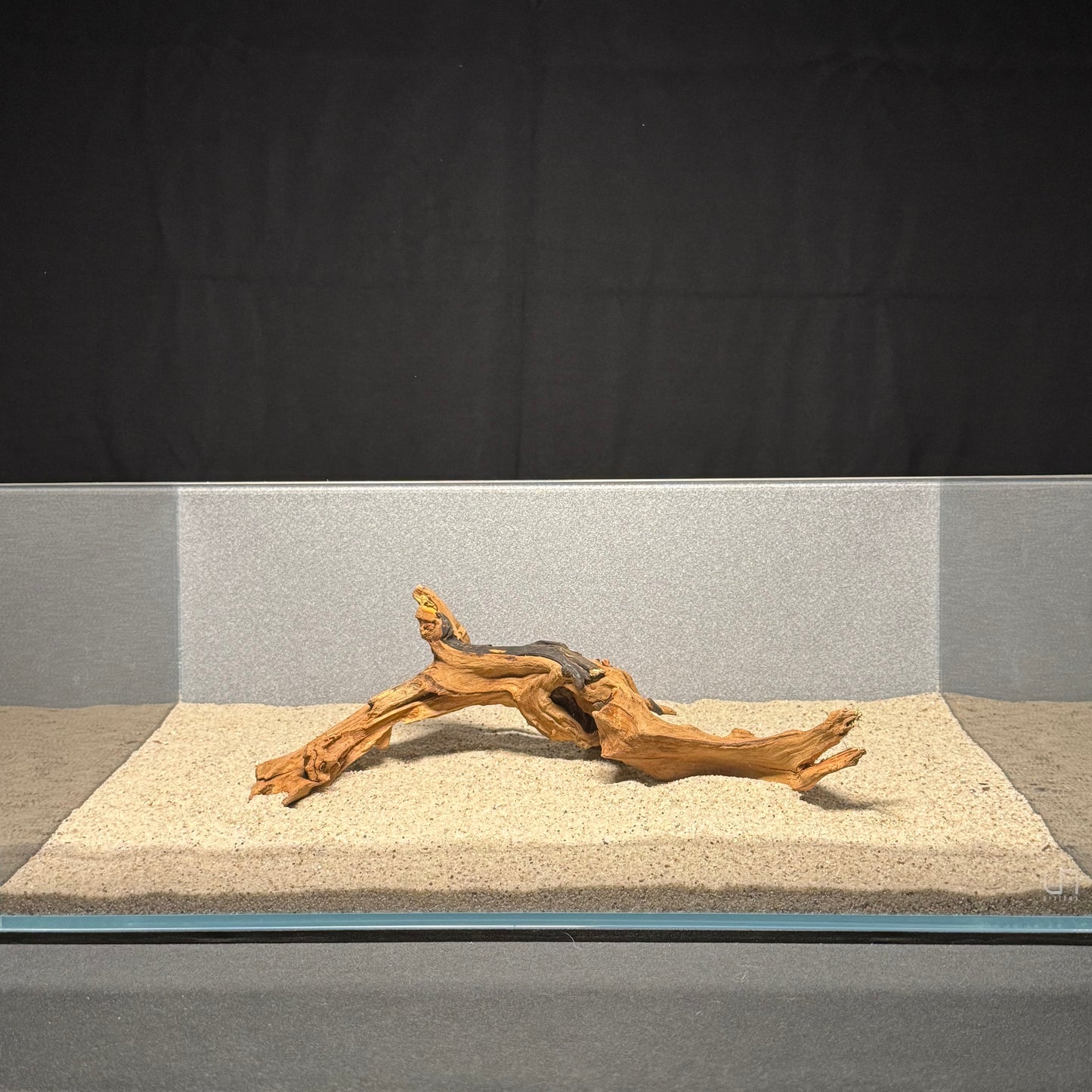10”-12” Malaysian Driftwood