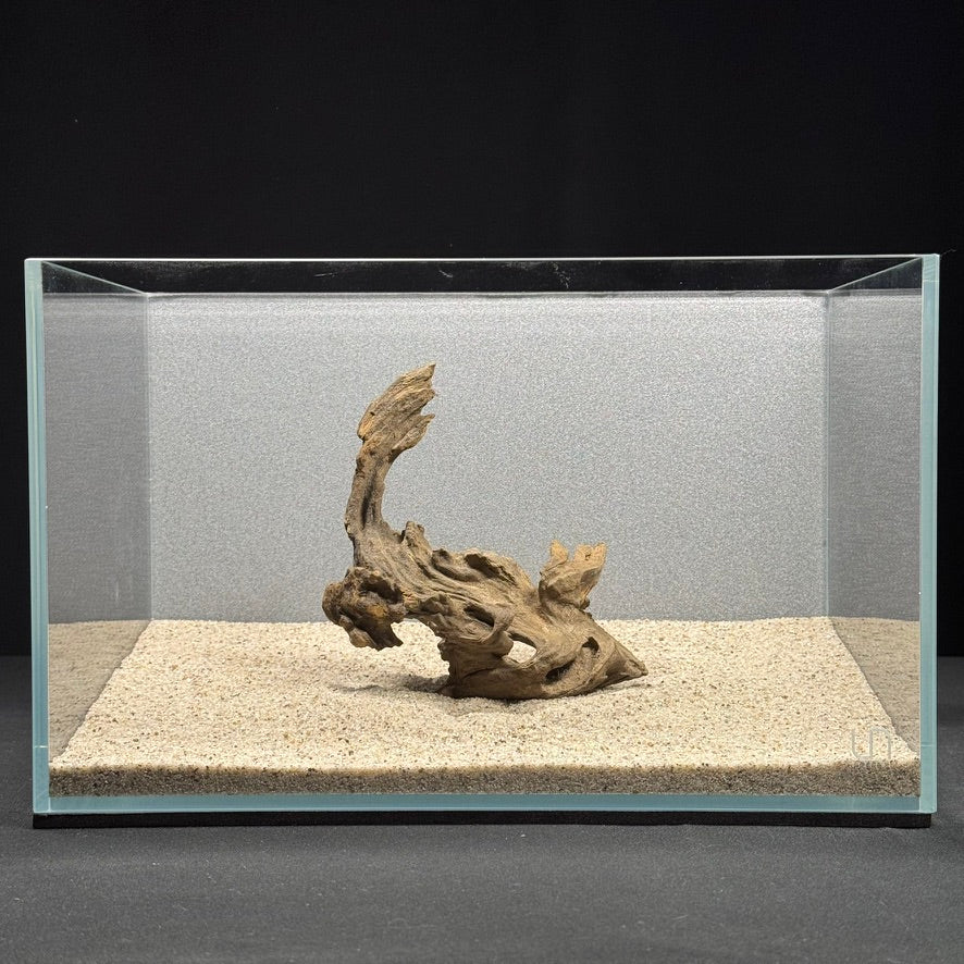 5”-7” Dragon Wood