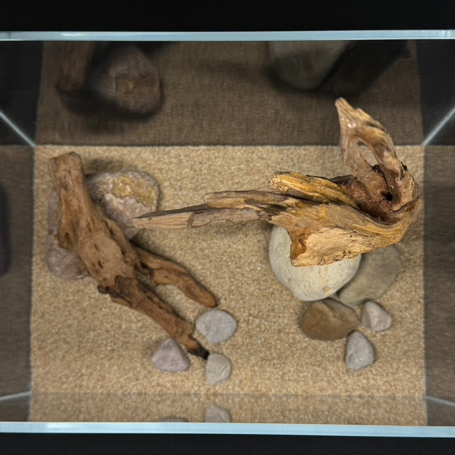 2 Gallon Complete Nano Hardscape Setup