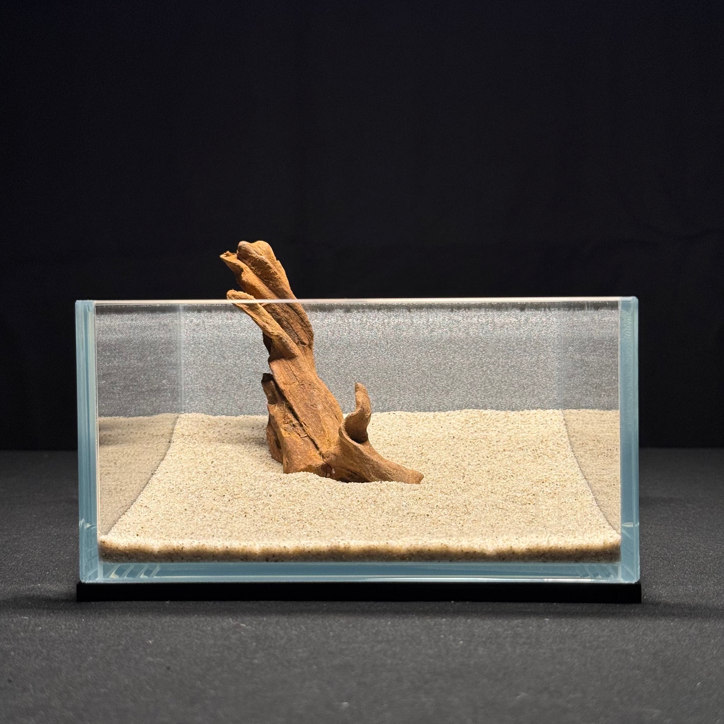 4”-6” Malaysian Driftwood