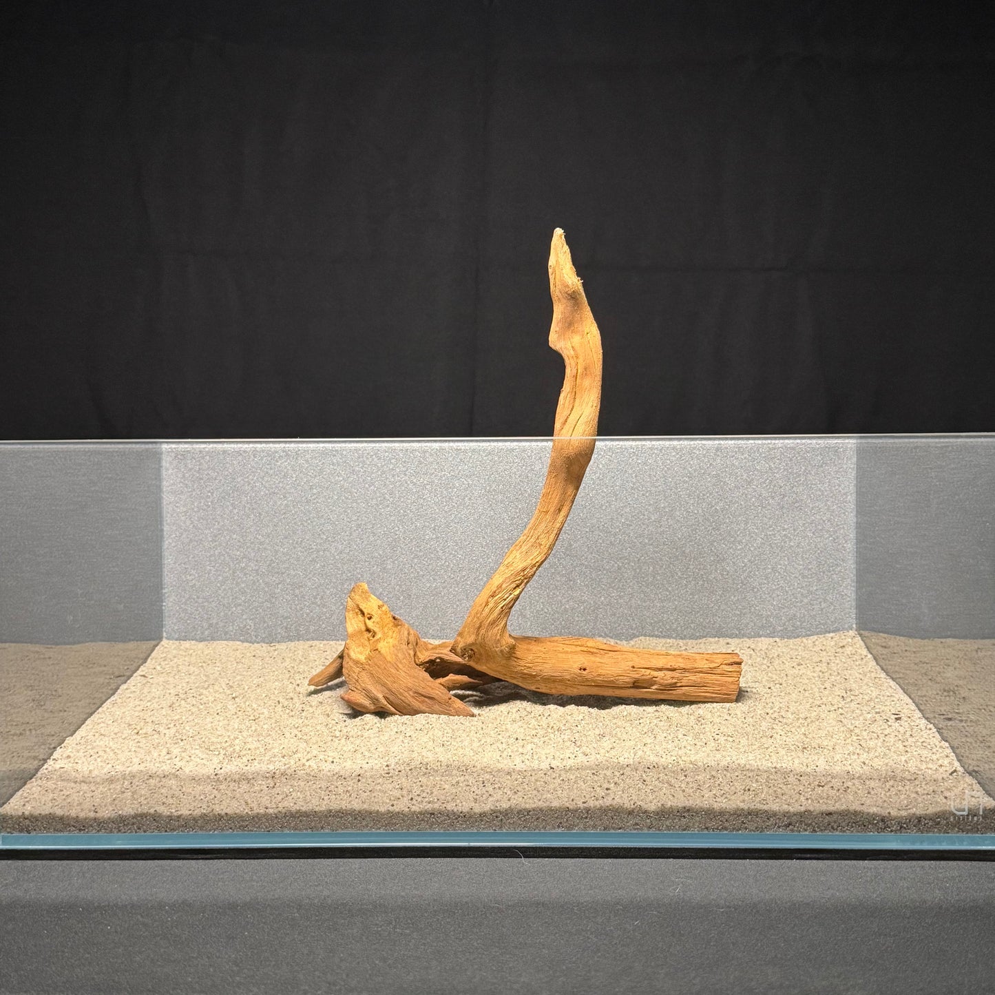 10”-12” Malaysian Driftwood