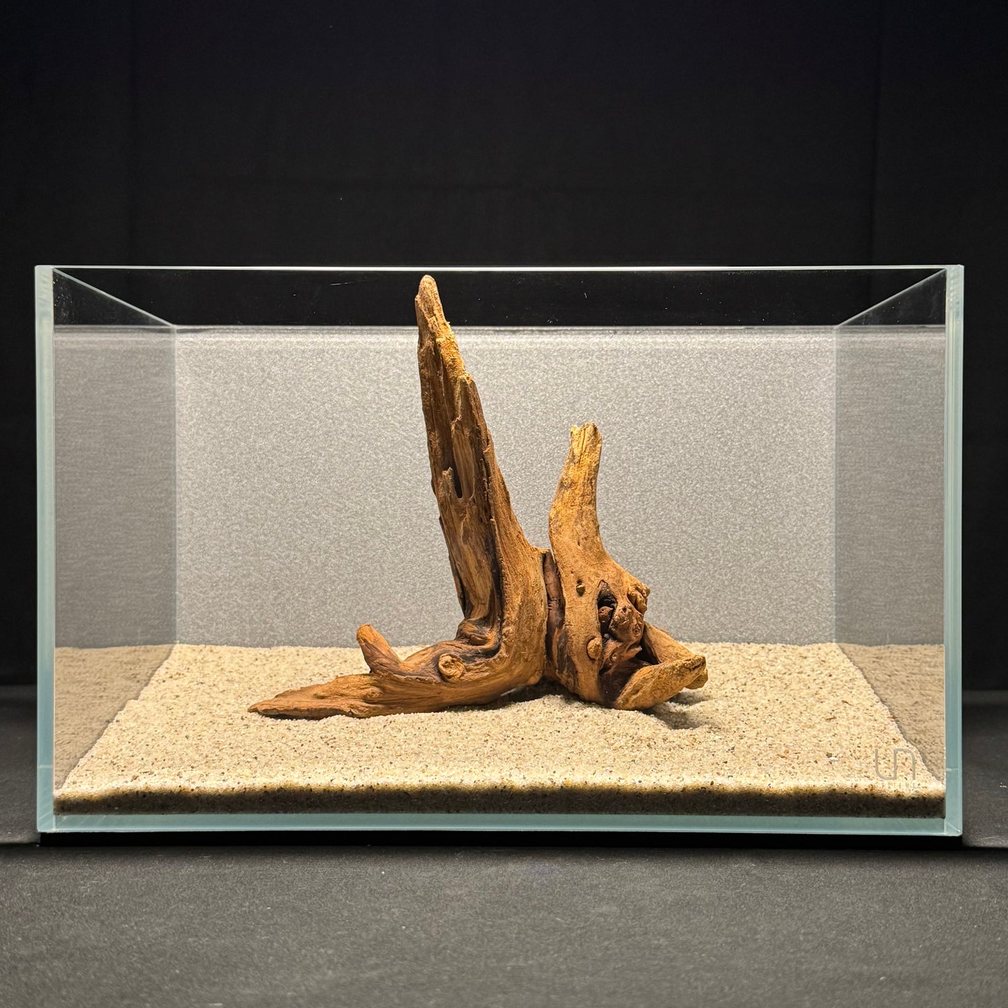 7”-8” Malaysian Driftwood