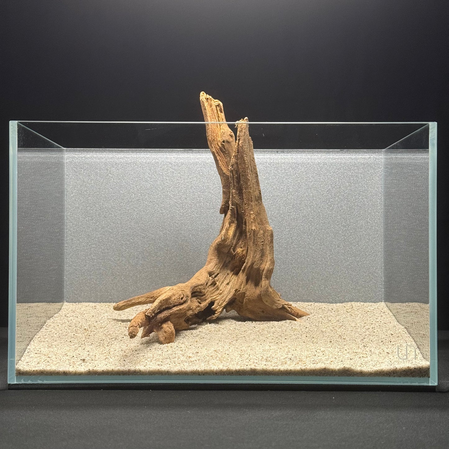 9”-11” Malaysian Driftwood