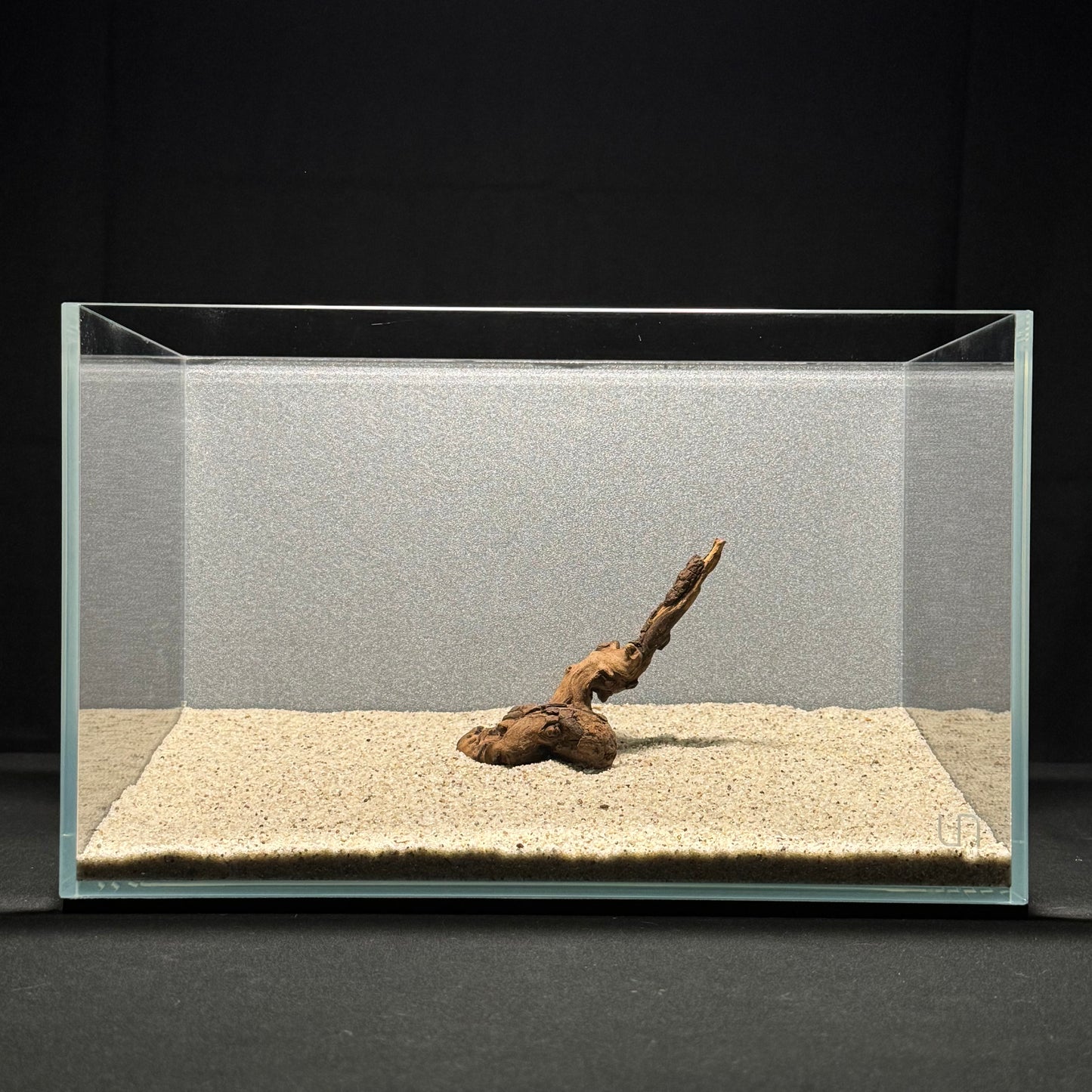 4”-6” Malaysian Driftwood