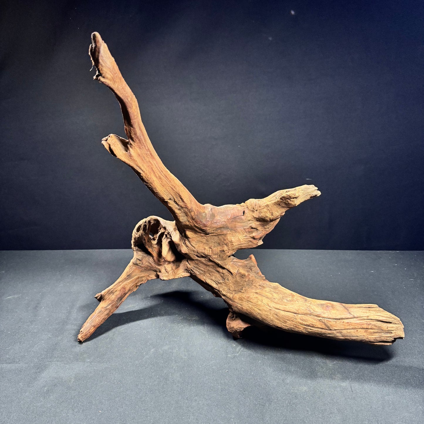 18” Malaysian Driftwood