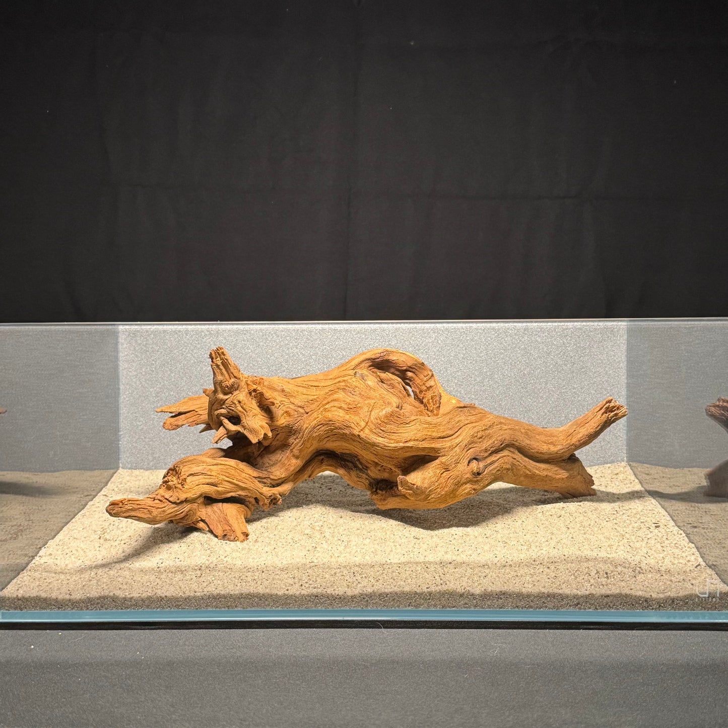 12”-16” Malaysian Driftwood