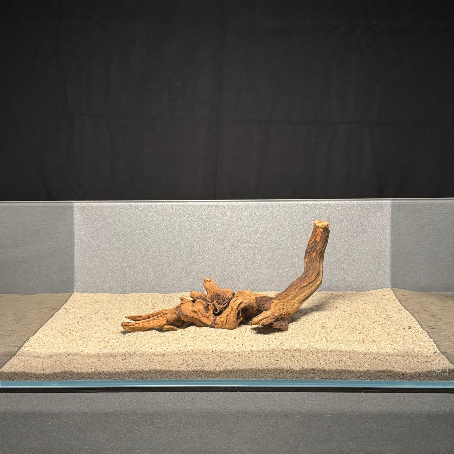 10”-12” Malaysian Driftwood