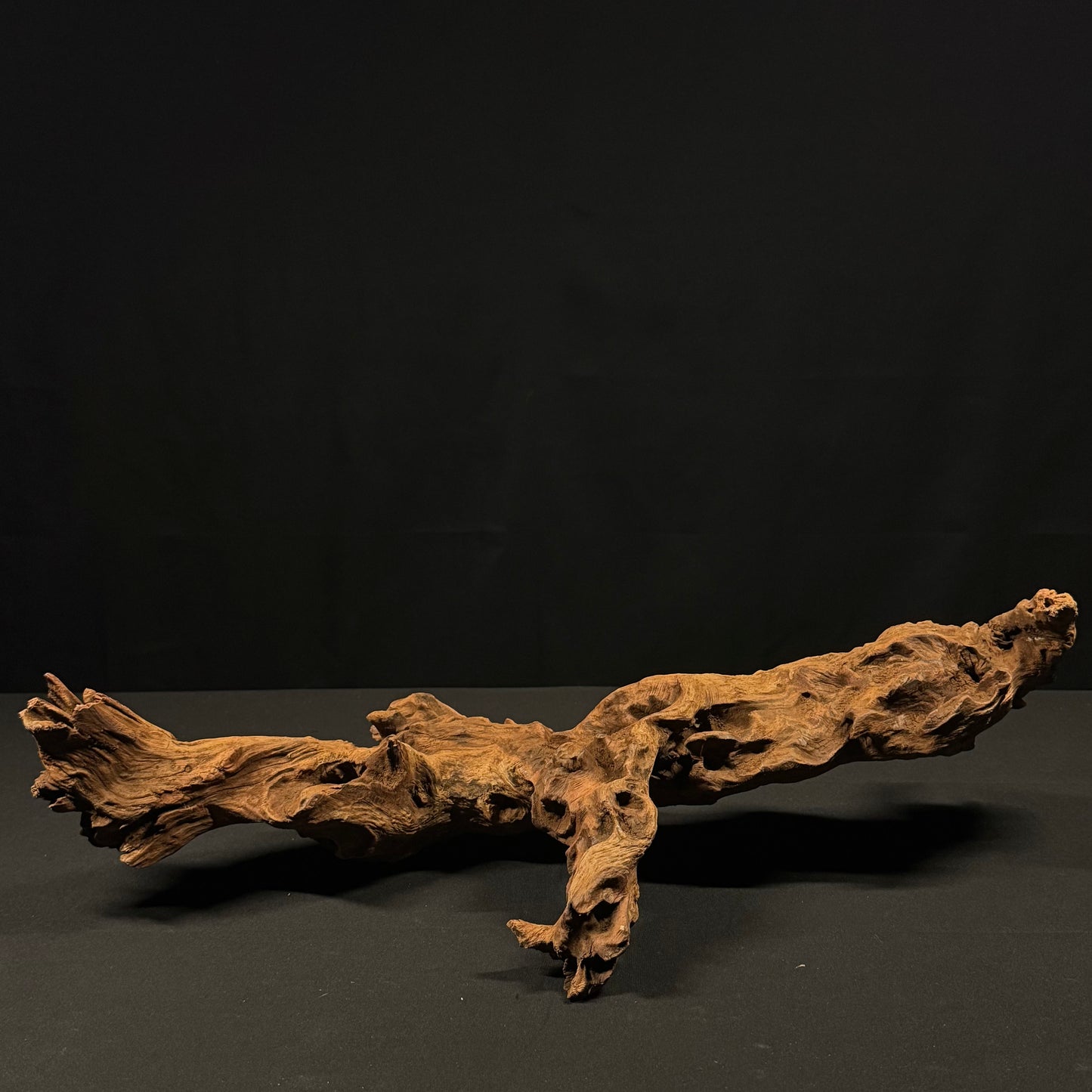 22” Malaysian Driftwood