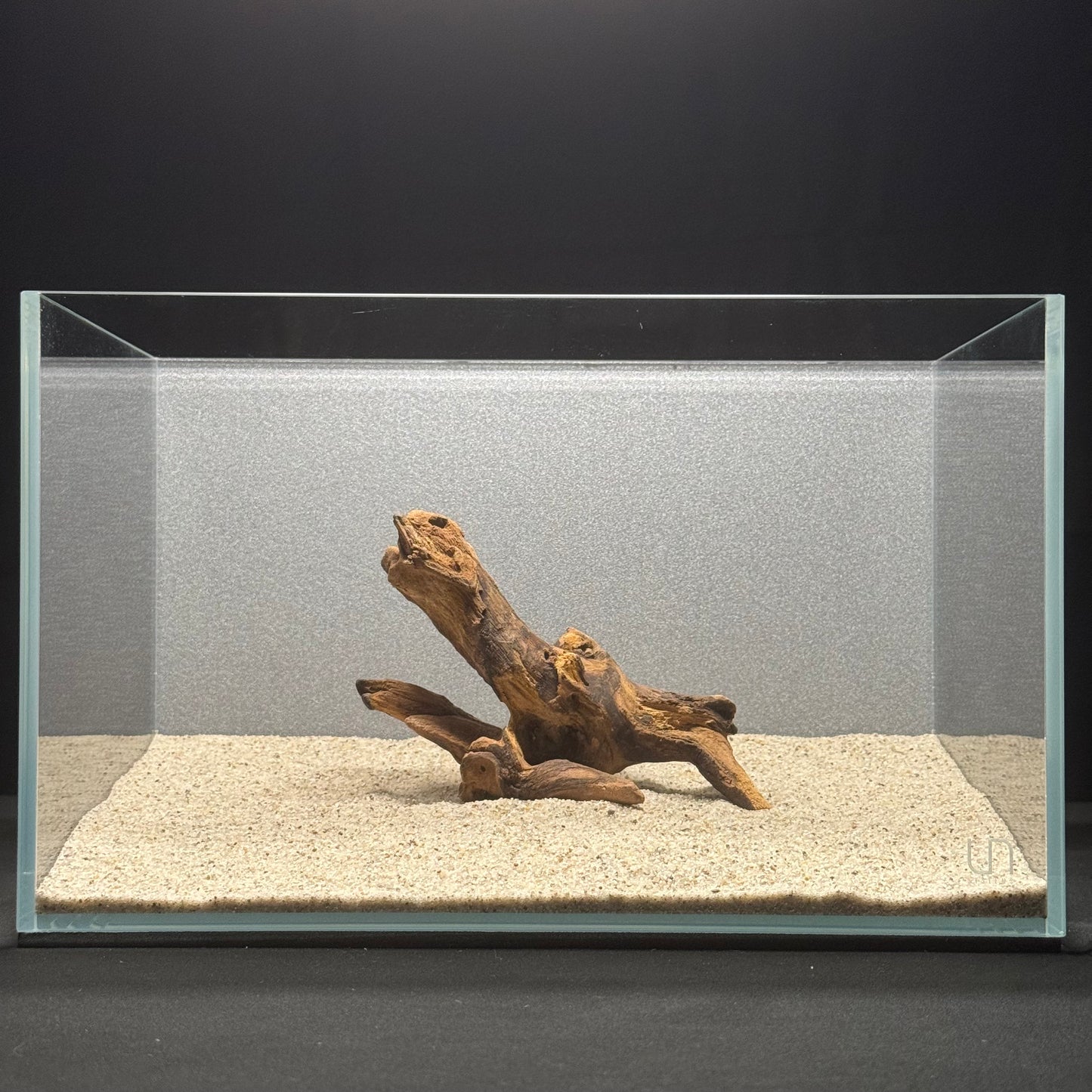 5”-8” Malaysian Driftwood