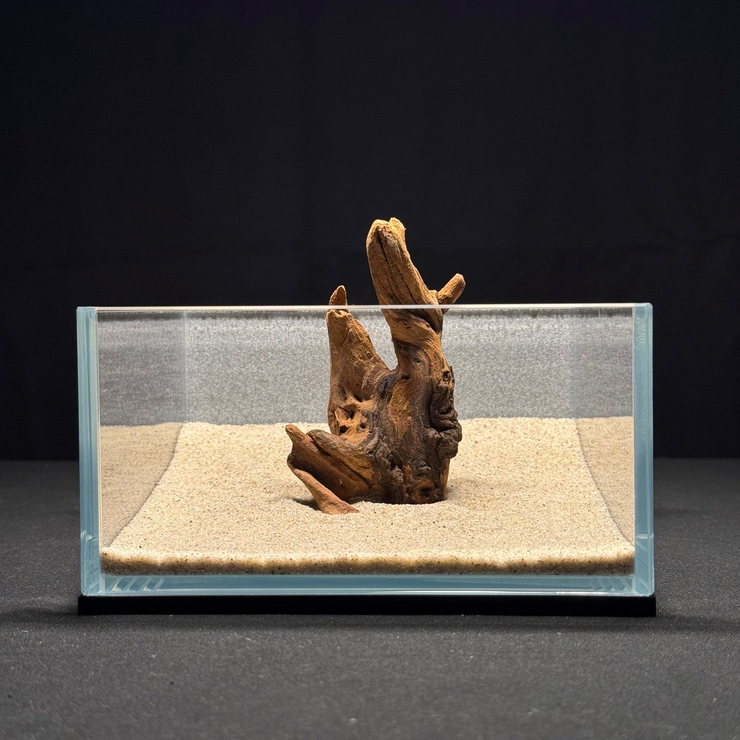 4”-6” Malaysian Driftwood