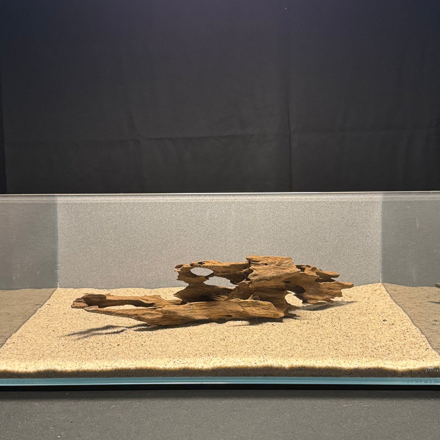 9”-14” Dragon Wood