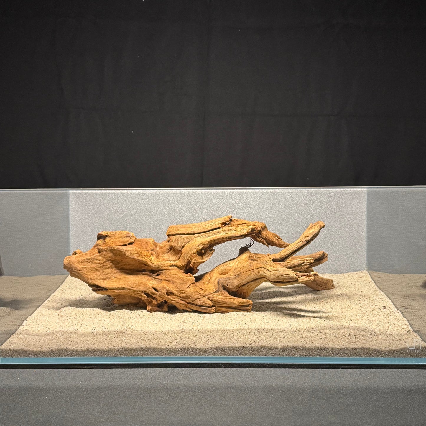 12”-16” Malaysian Driftwood