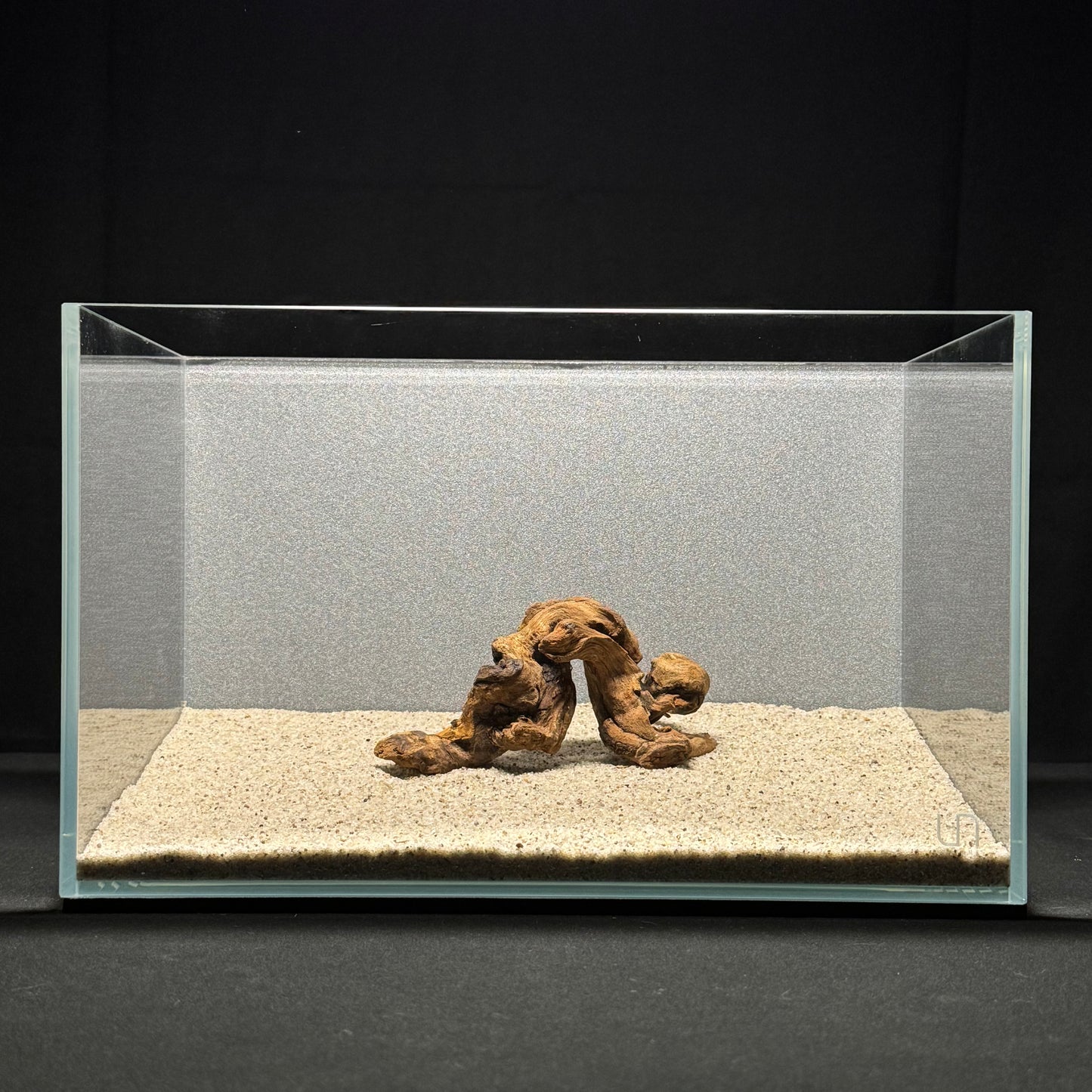 4”-6” Malaysian Driftwood