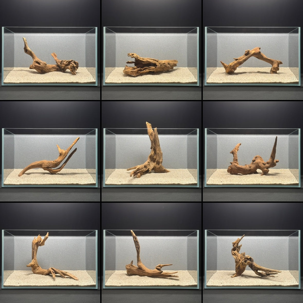9”-11” Malaysian Driftwood
