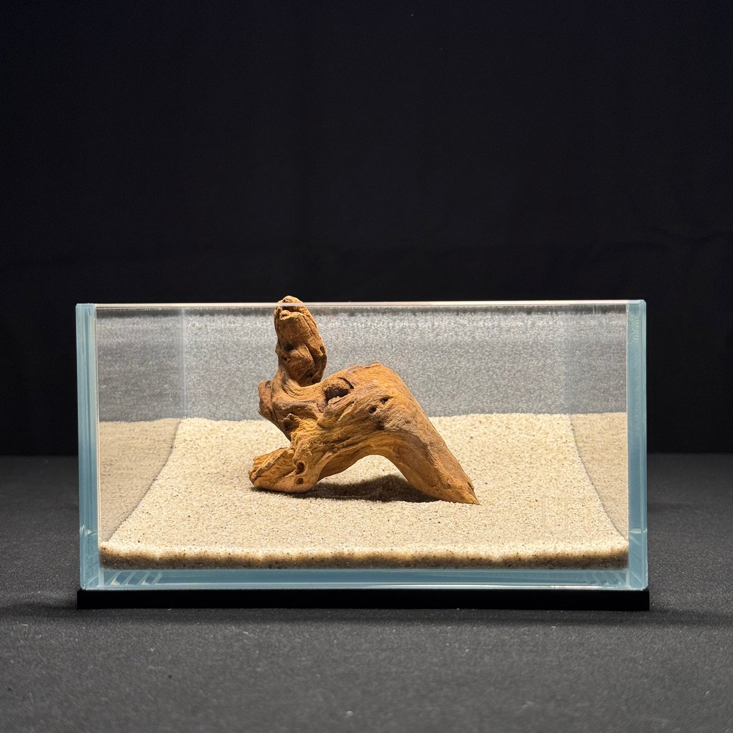 4”-6” Malaysian Driftwood