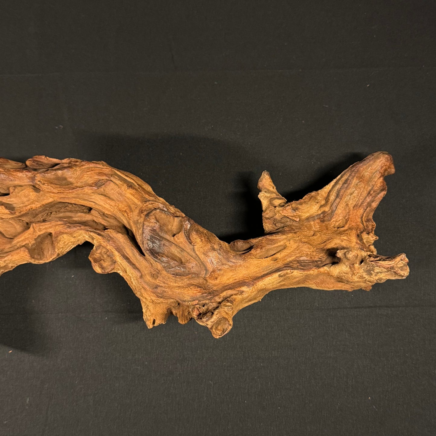 20” Malaysian Driftwood