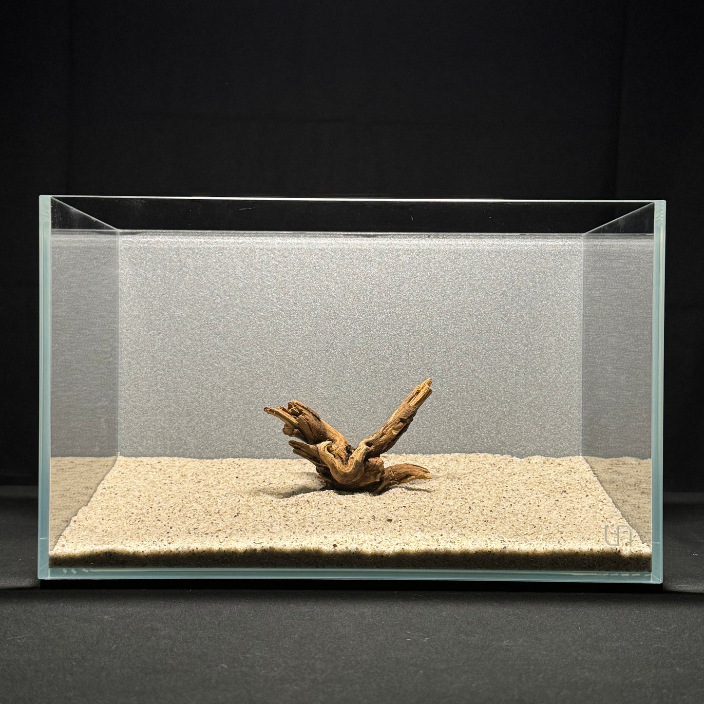4”-6” Malaysian Driftwood