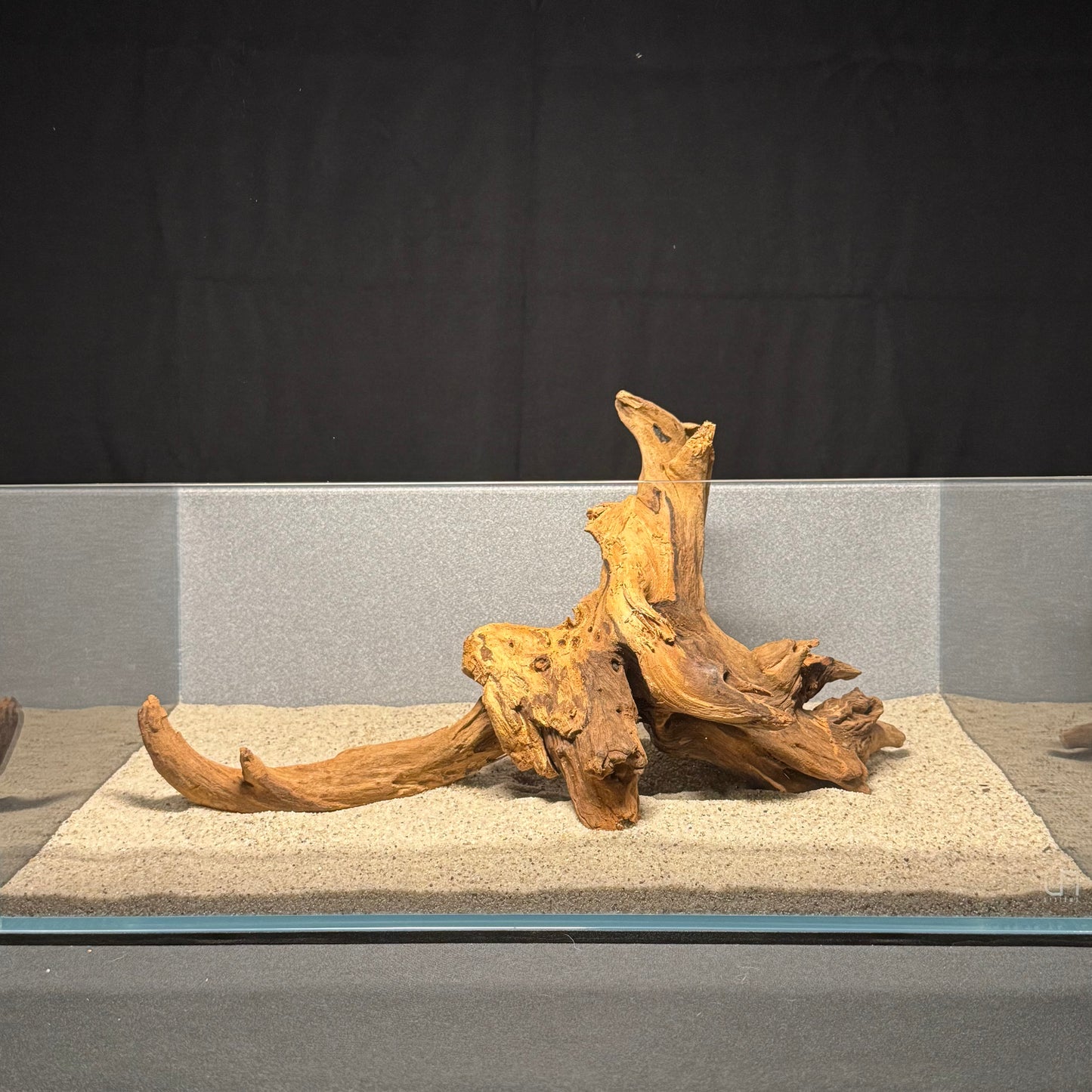 12”-16” Malaysian Driftwood