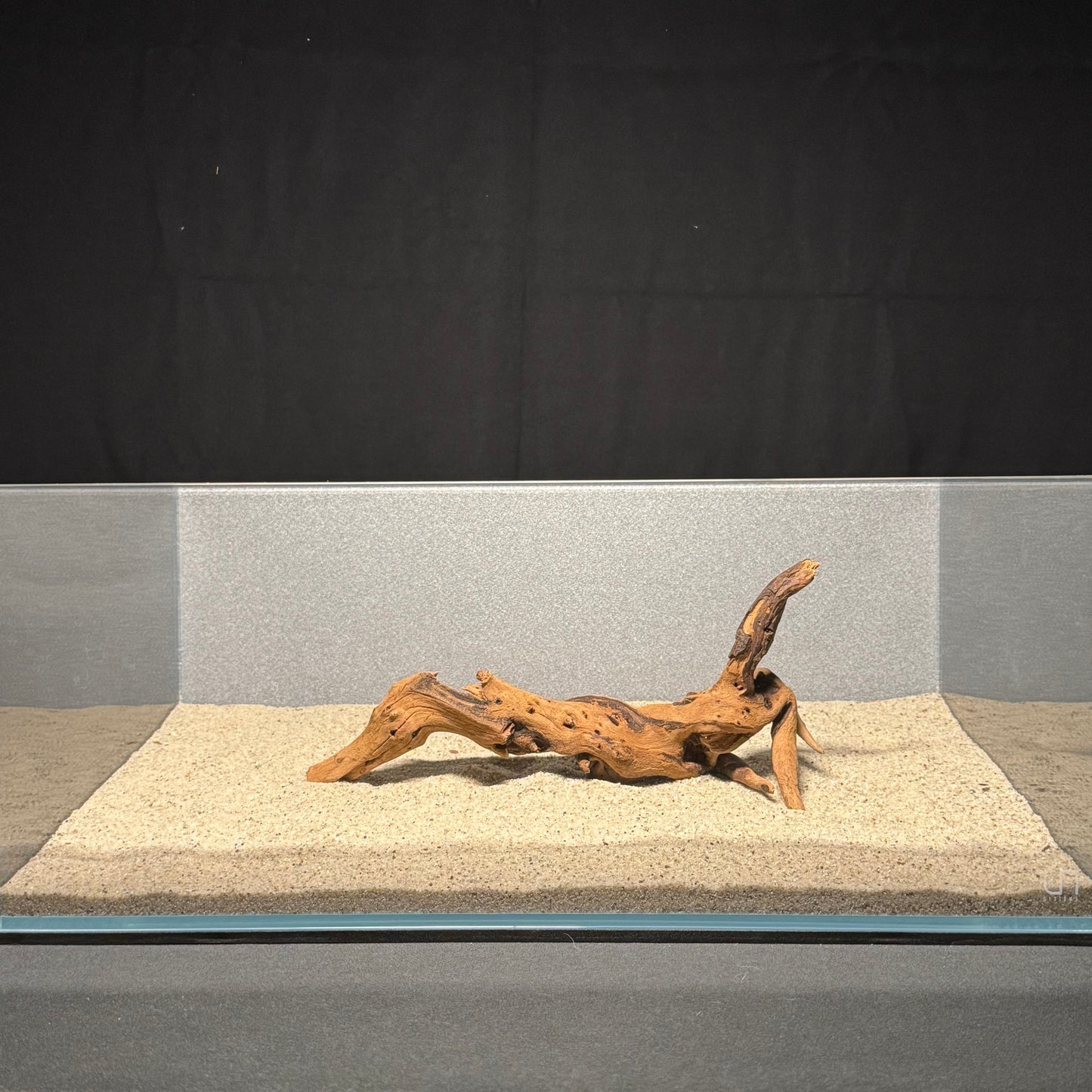 10”-12” Malaysian Driftwood