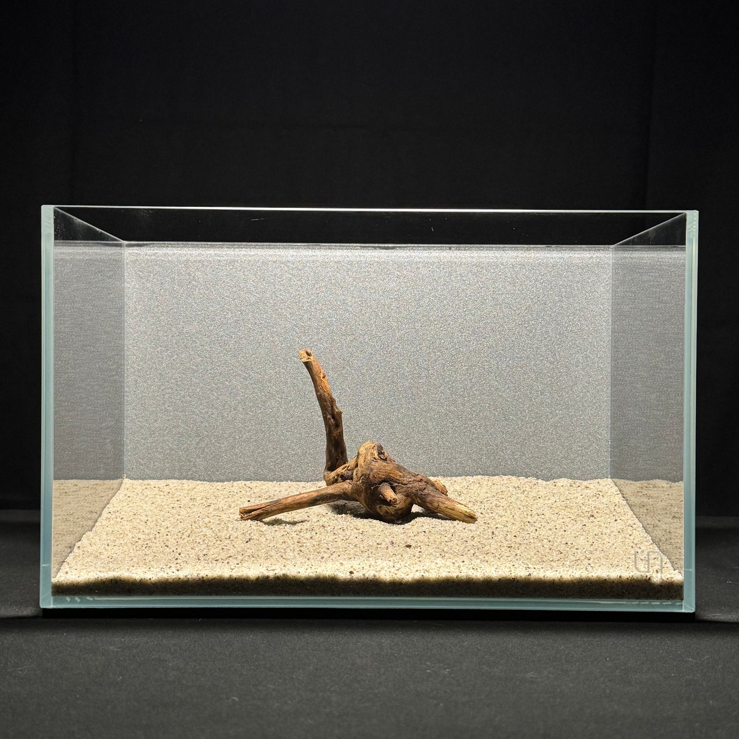 4”-6” Malaysian Driftwood