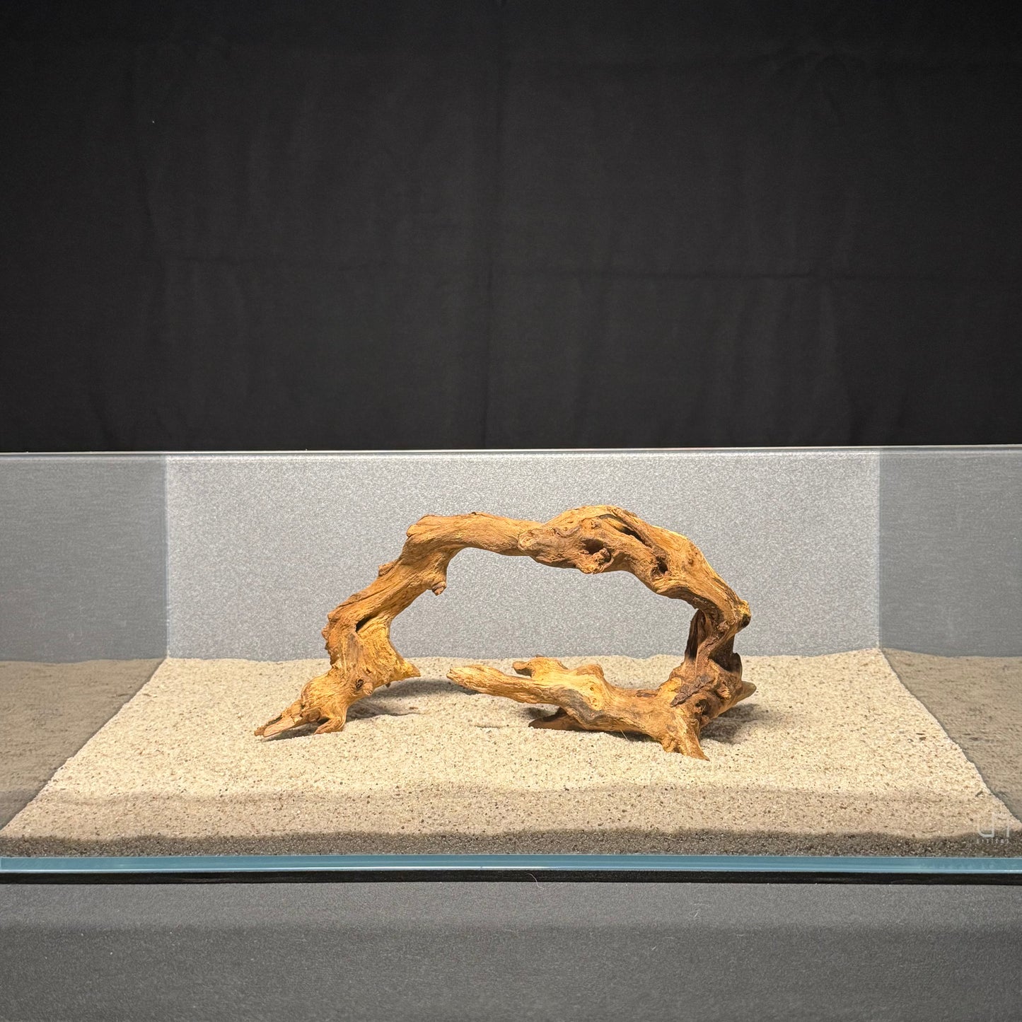 10”-12” Malaysian Driftwood