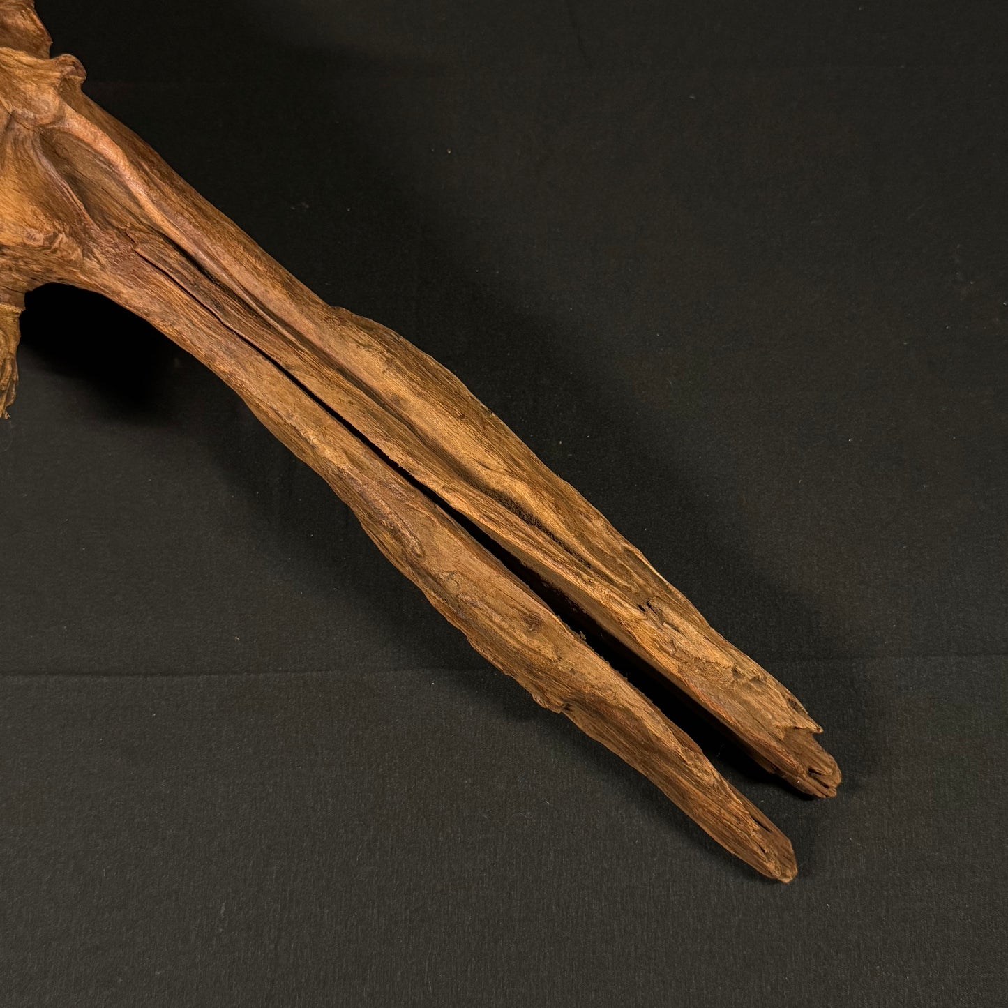 22” Malaysian Driftwood