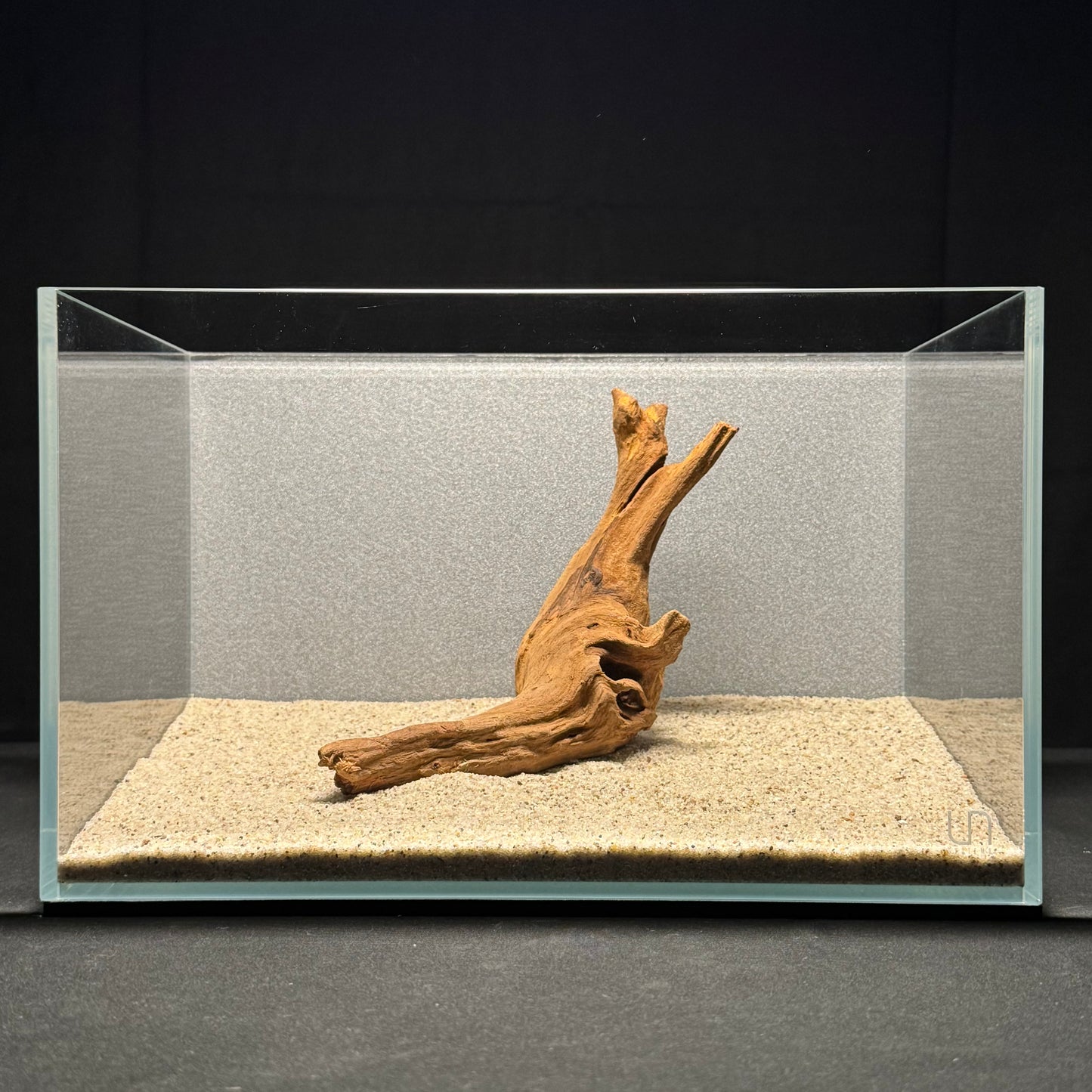 7”-8” Malaysian Driftwood