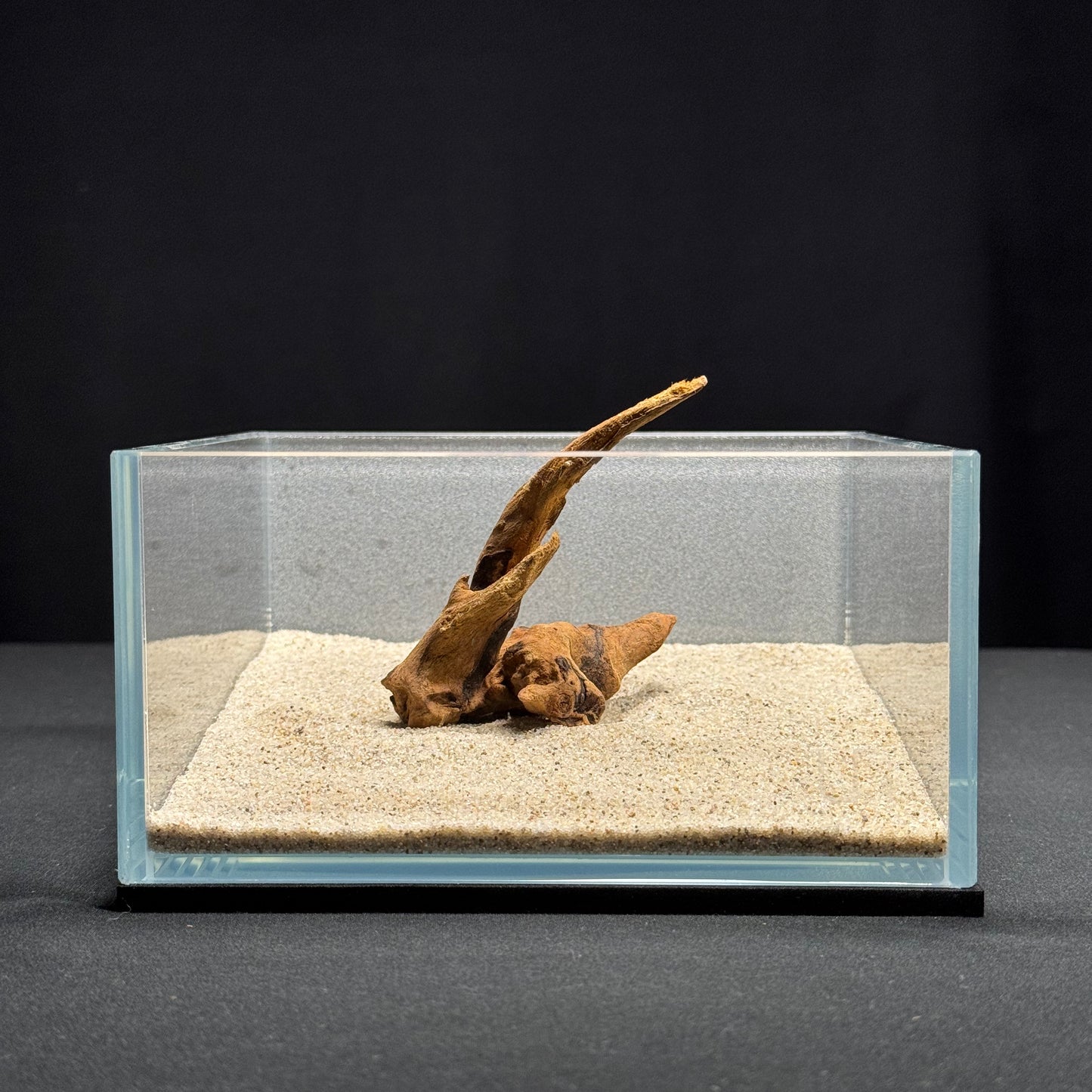 4”-6” Malaysian Driftwood (NEW)