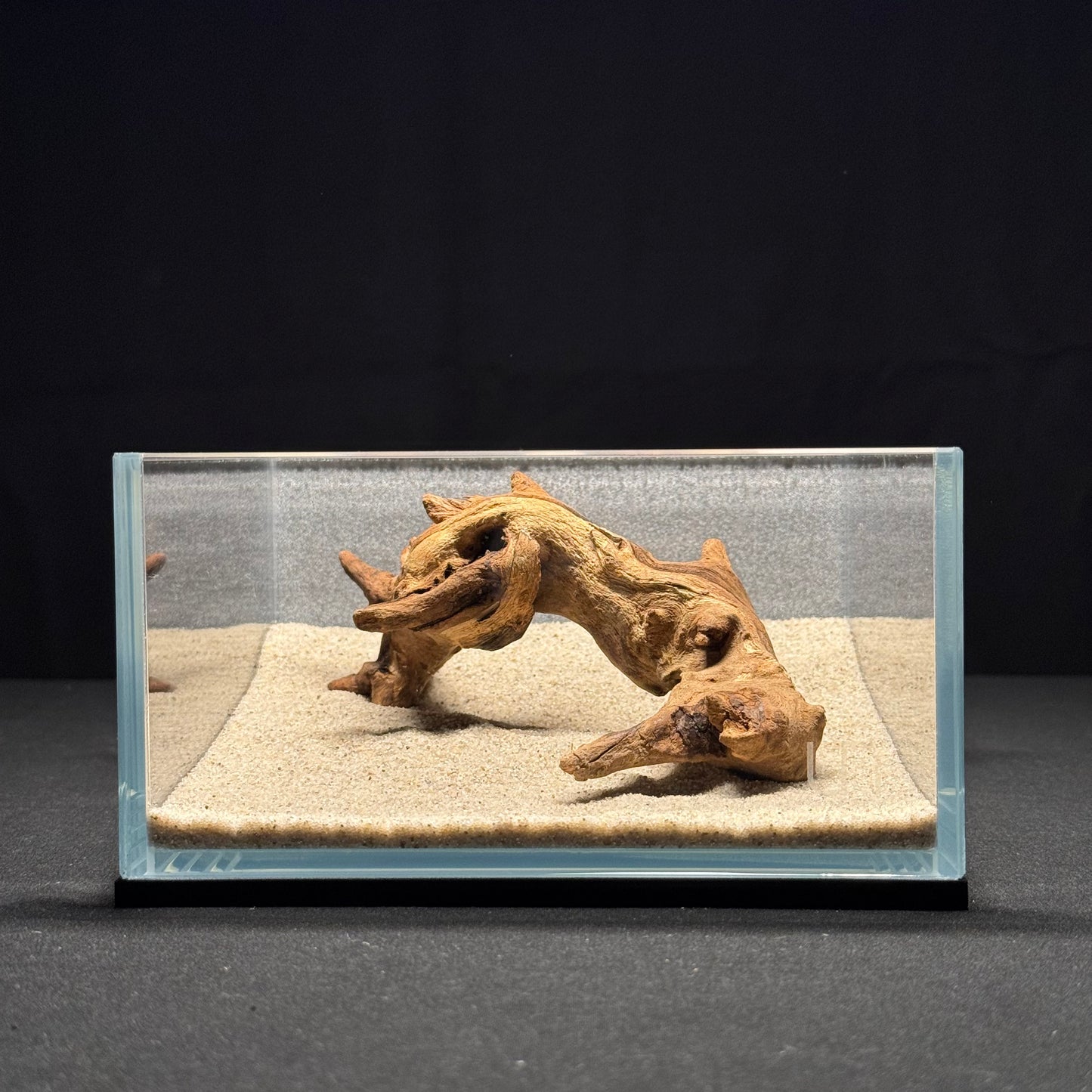 5"-6” Malaysian Driftwood