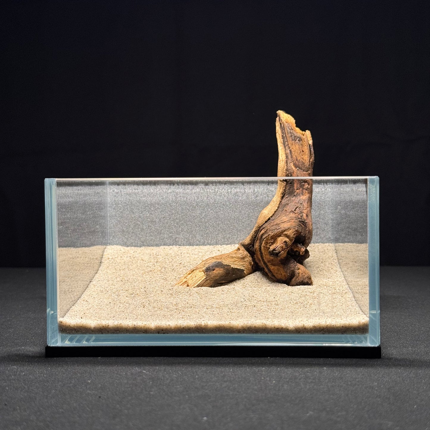 5"-6” Malaysian Driftwood