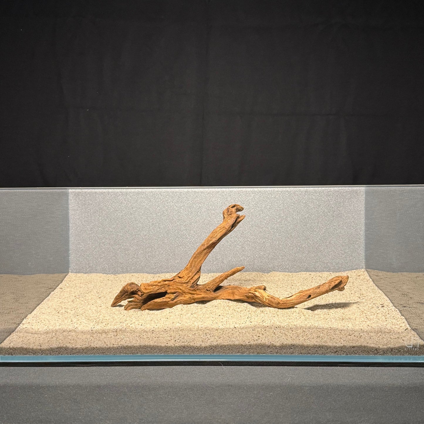 10”-12” Malaysian Driftwood