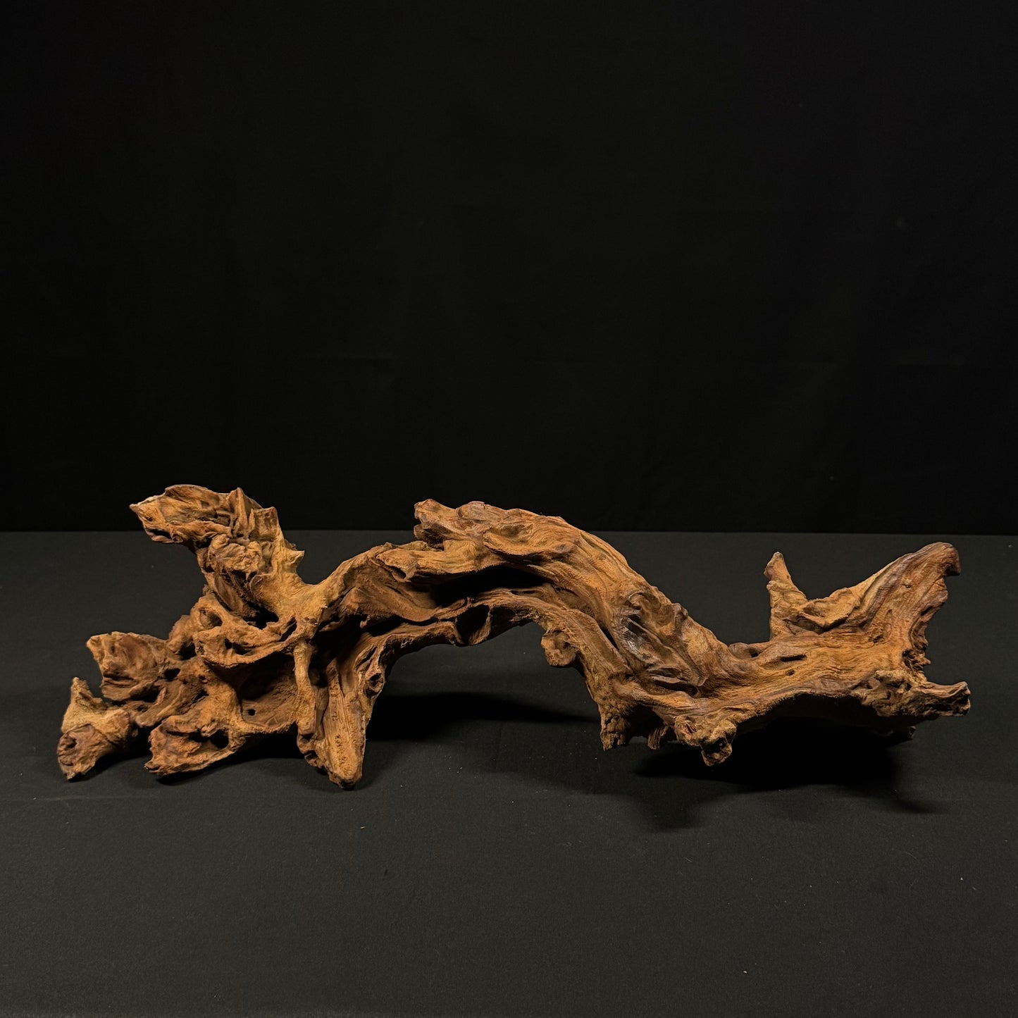 20” Malaysian Driftwood