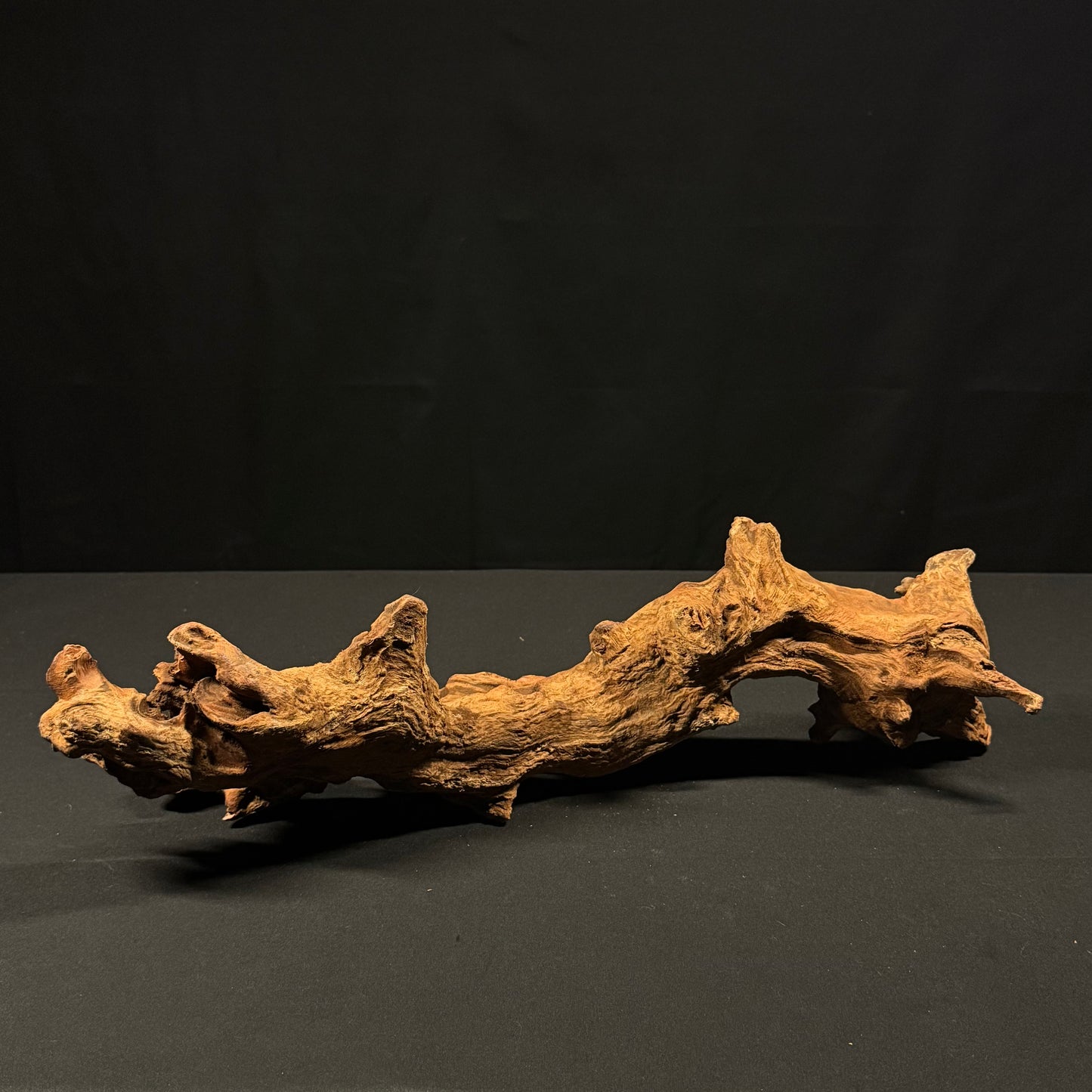 20” Malaysian Driftwood