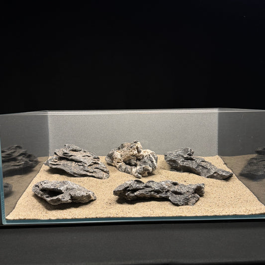 Acid Washed Seiryu Stone (6-7lbs)