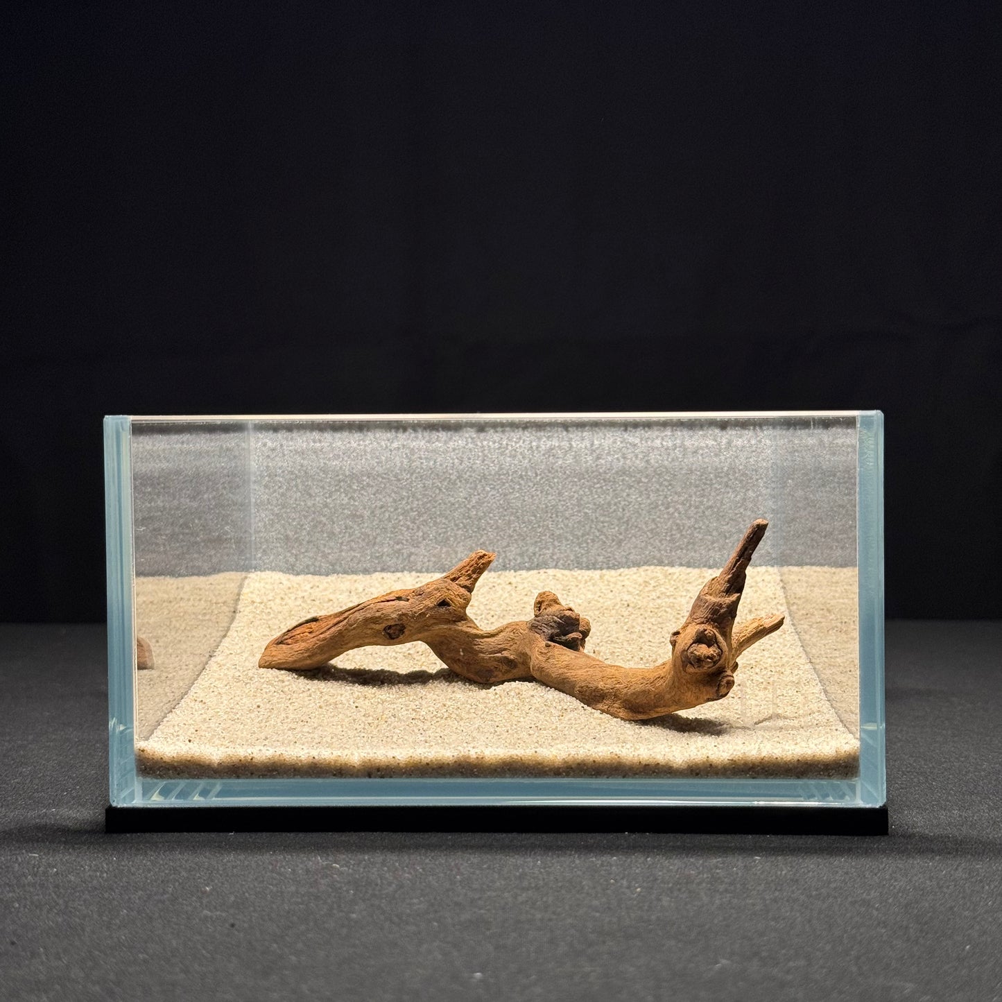 4”-6” Malaysian Driftwood