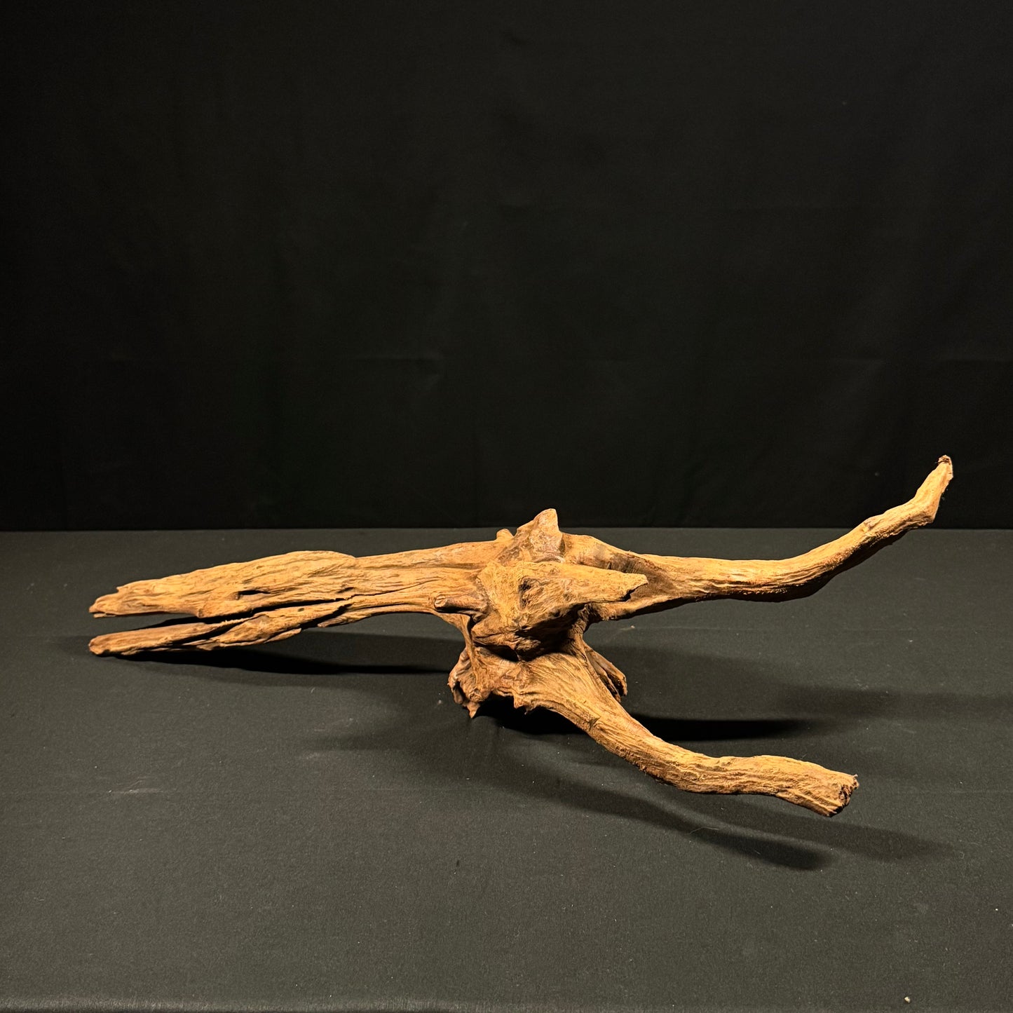 22” Malaysian Driftwood