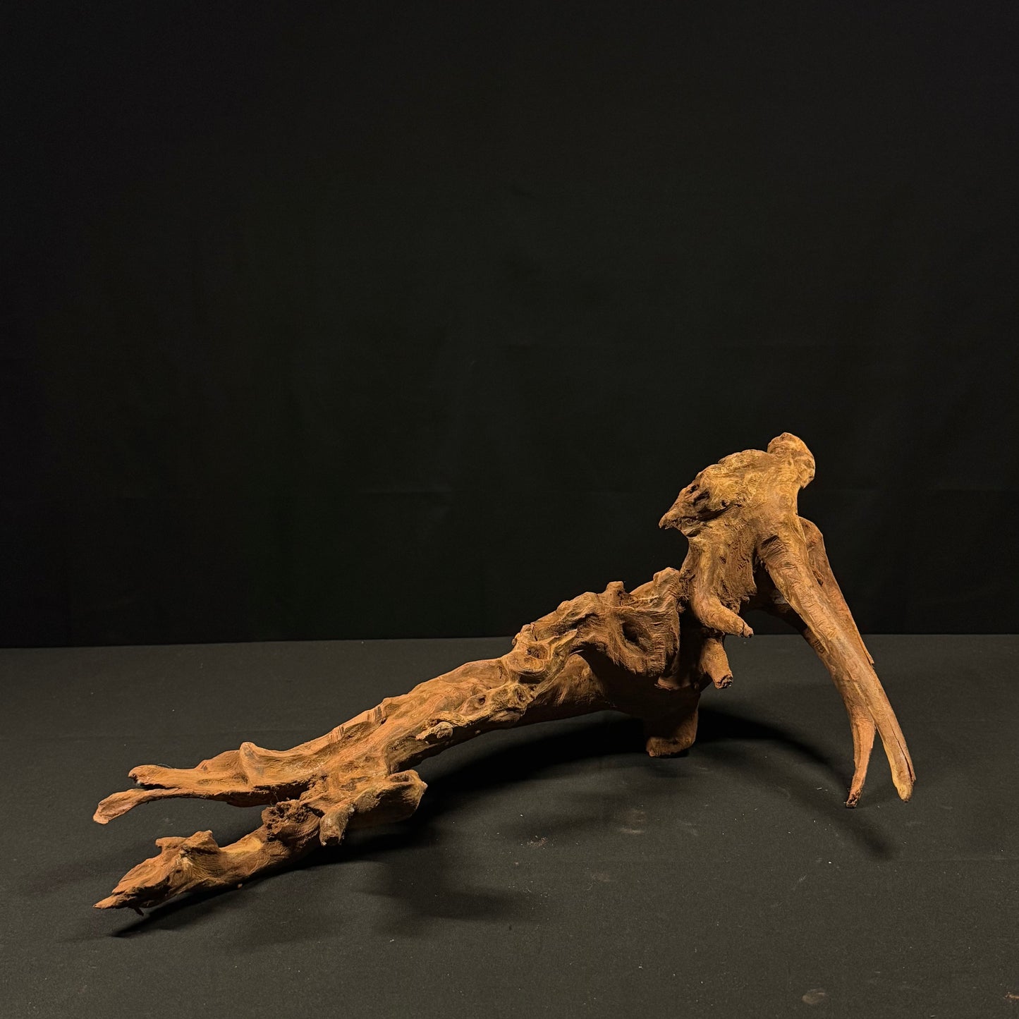20” Malaysian Driftwood