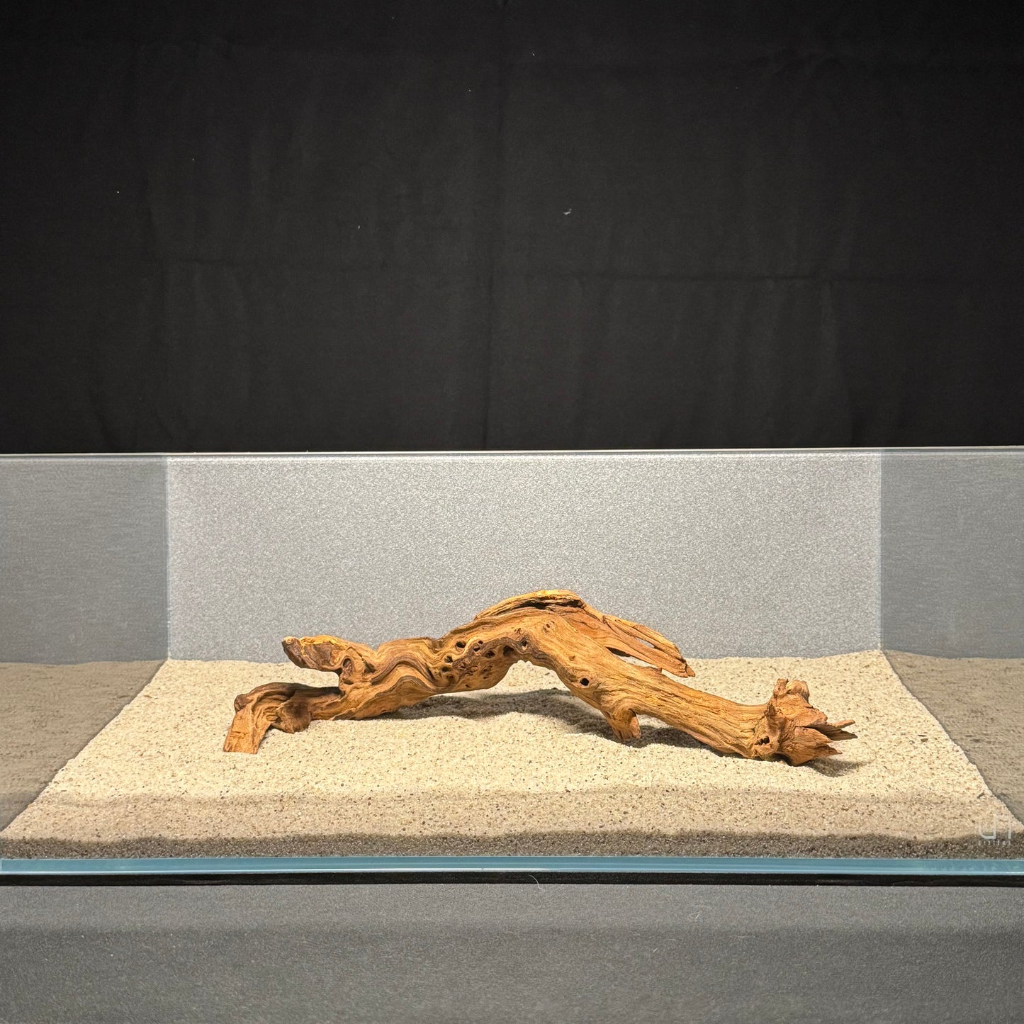 10”-12” Malaysian Driftwood