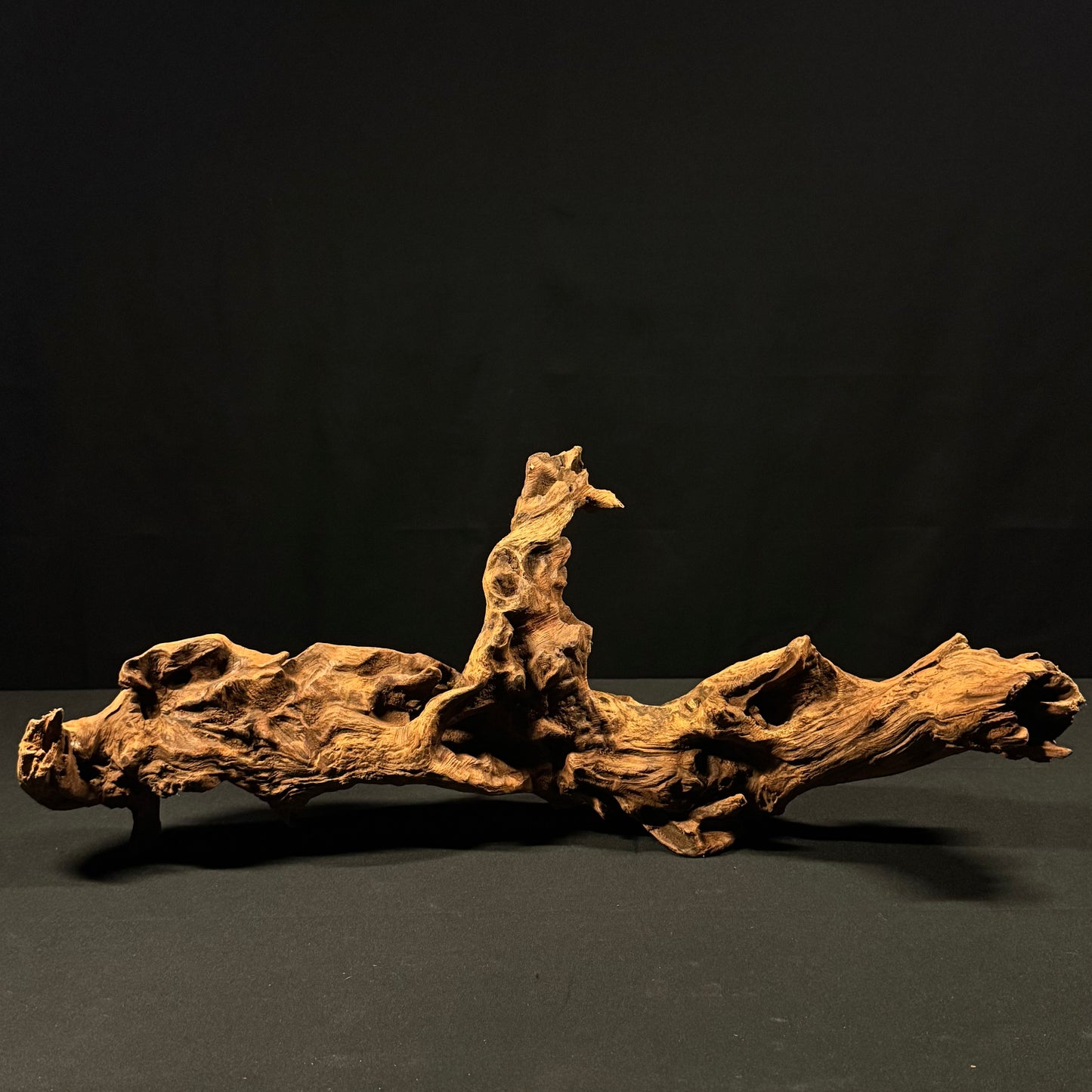 22” Malaysian Driftwood