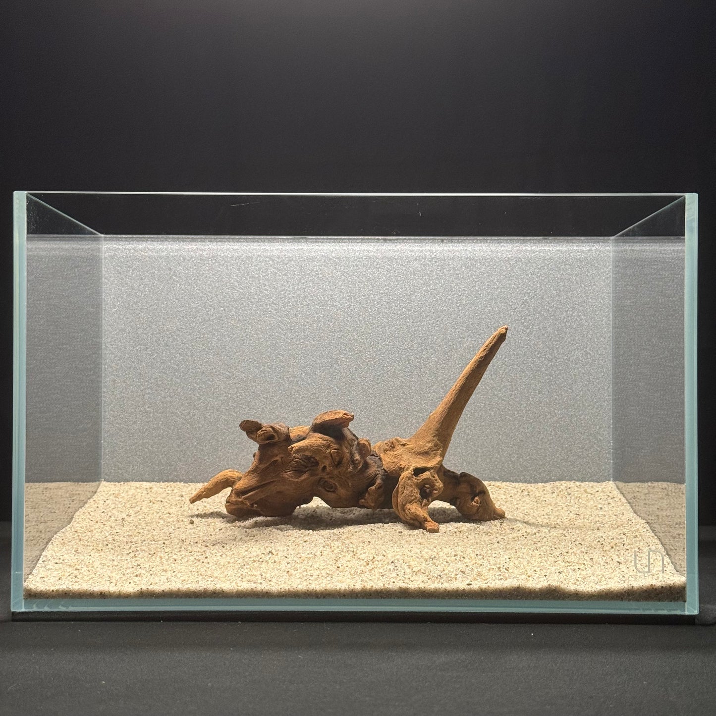 5”-8” Malaysian Driftwood