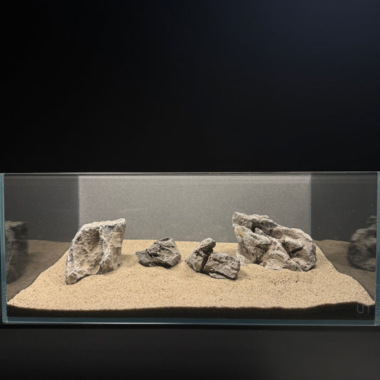 Seiryu Stone (5-6lbs)