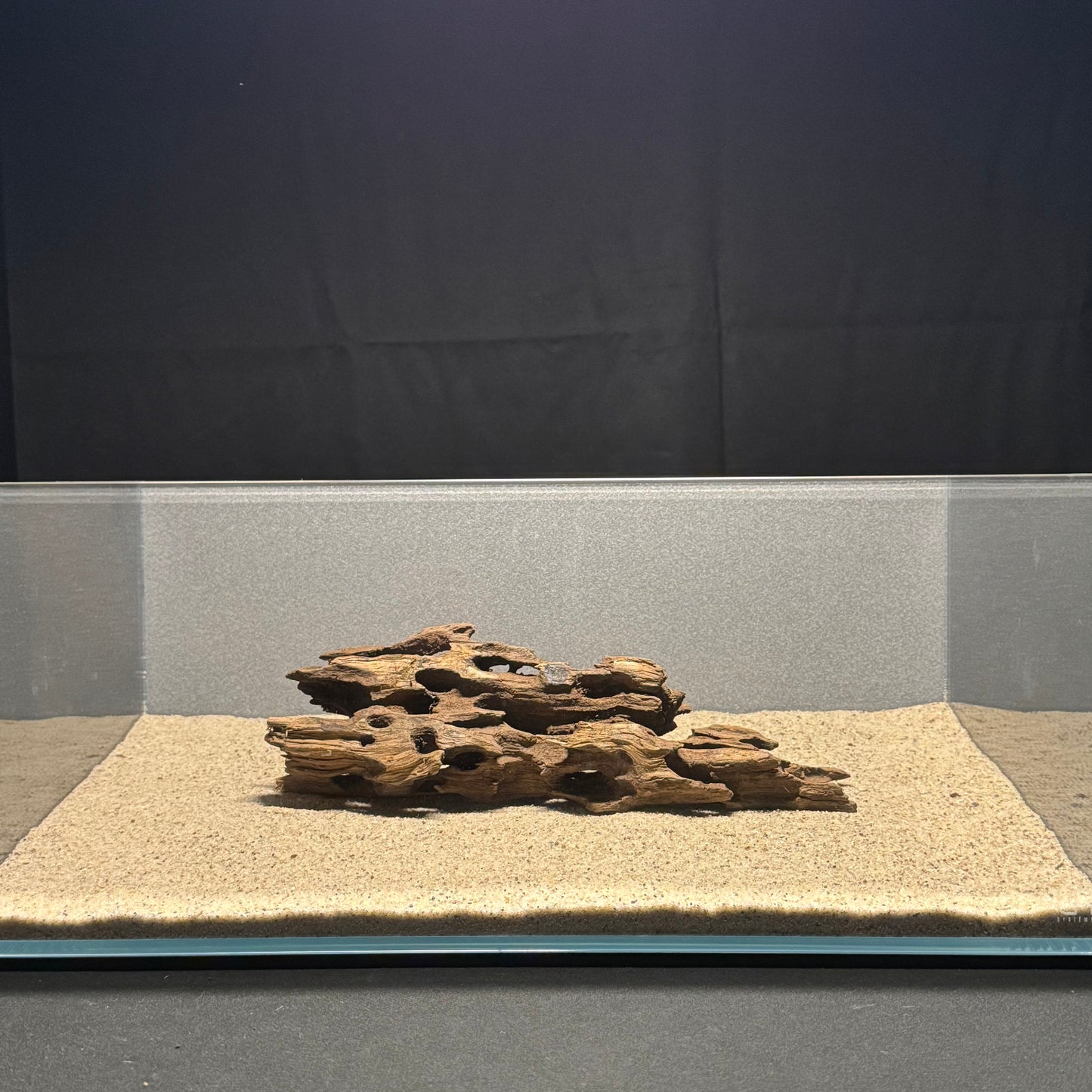 9”-14” Dragon Wood